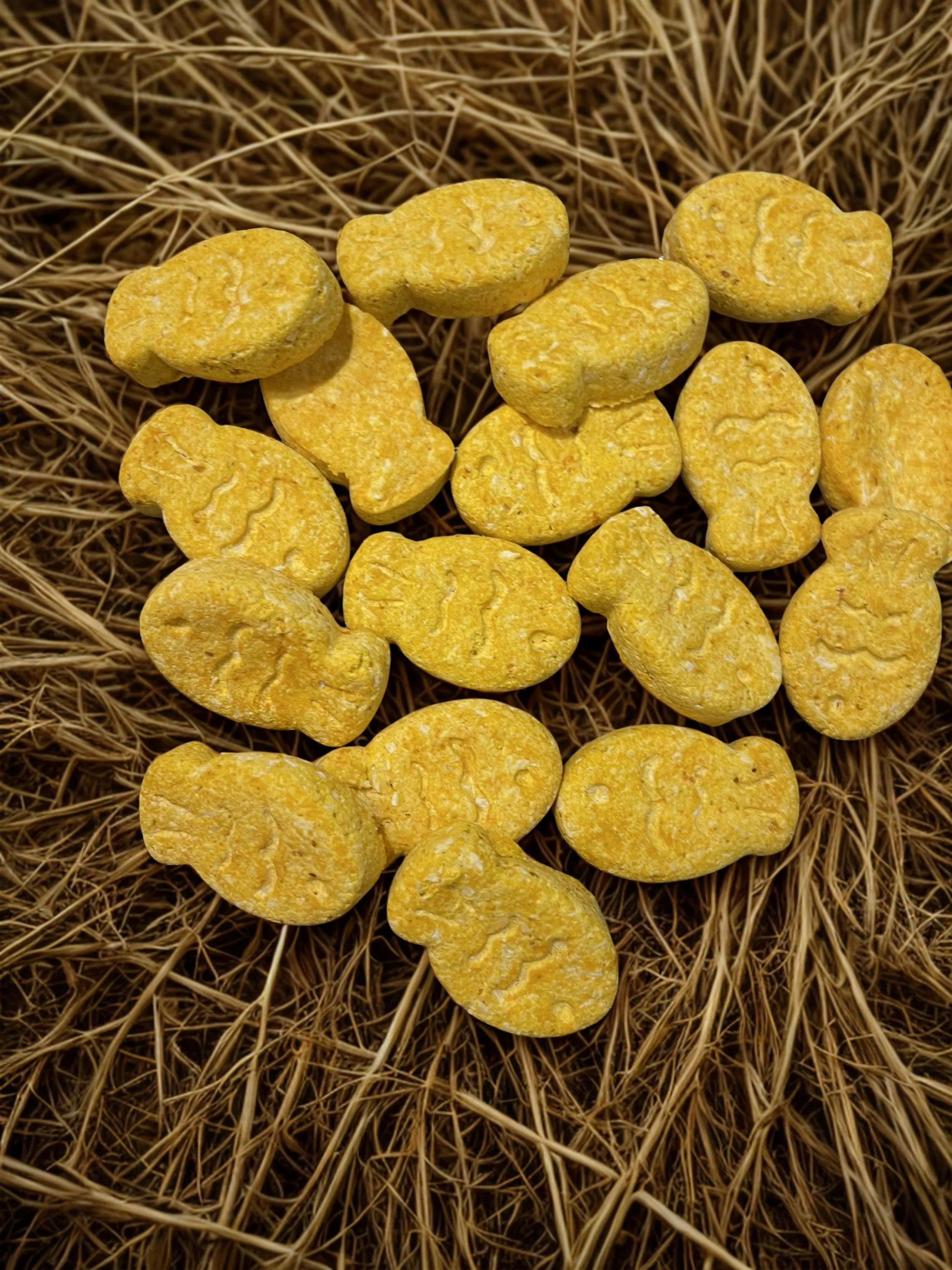 Sockeye Salmon Dog Treats (Grain Free)