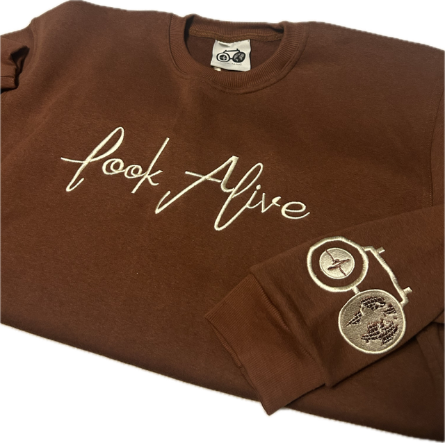 brown fall sweater.png