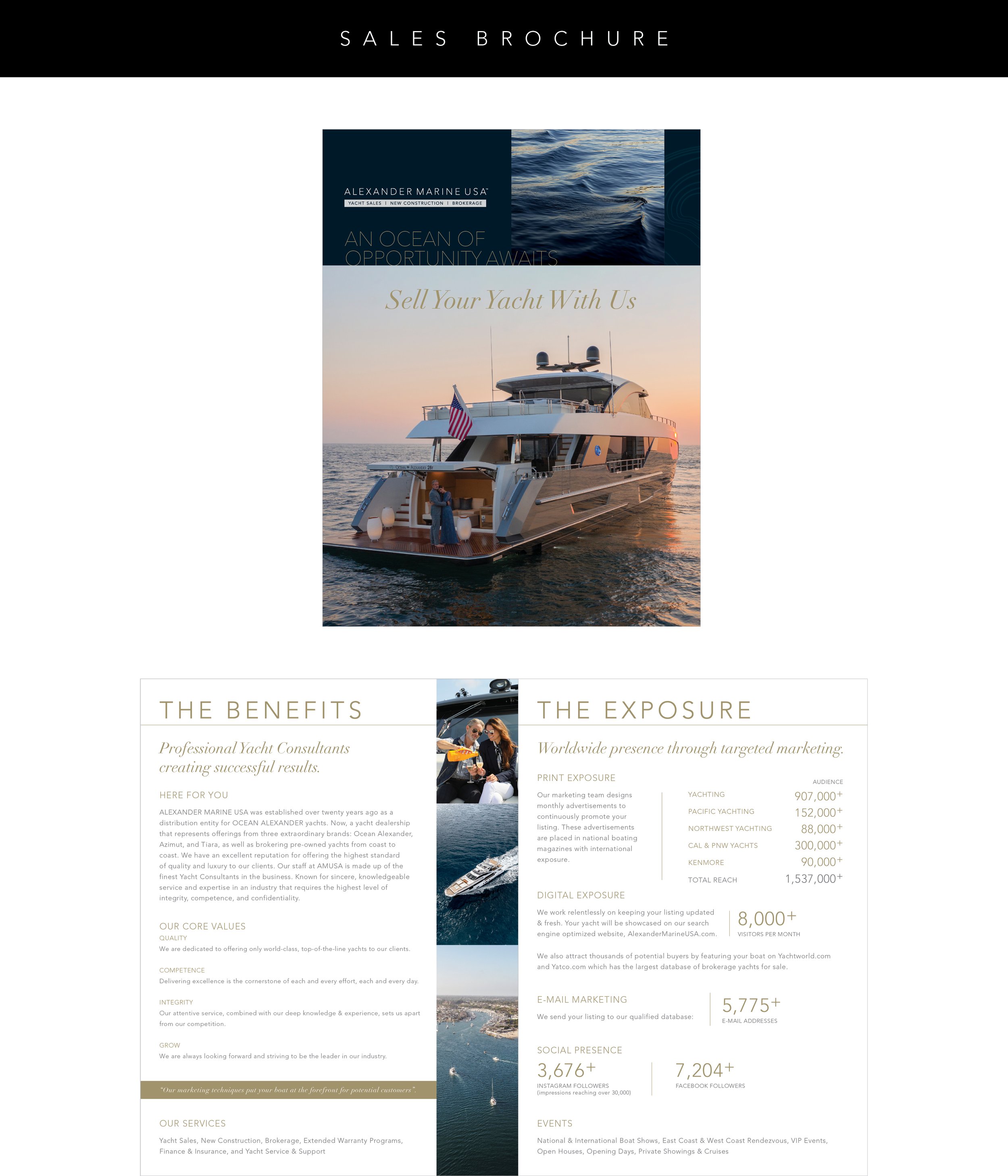 Web_AMUSA_600px_Website_3.jpg