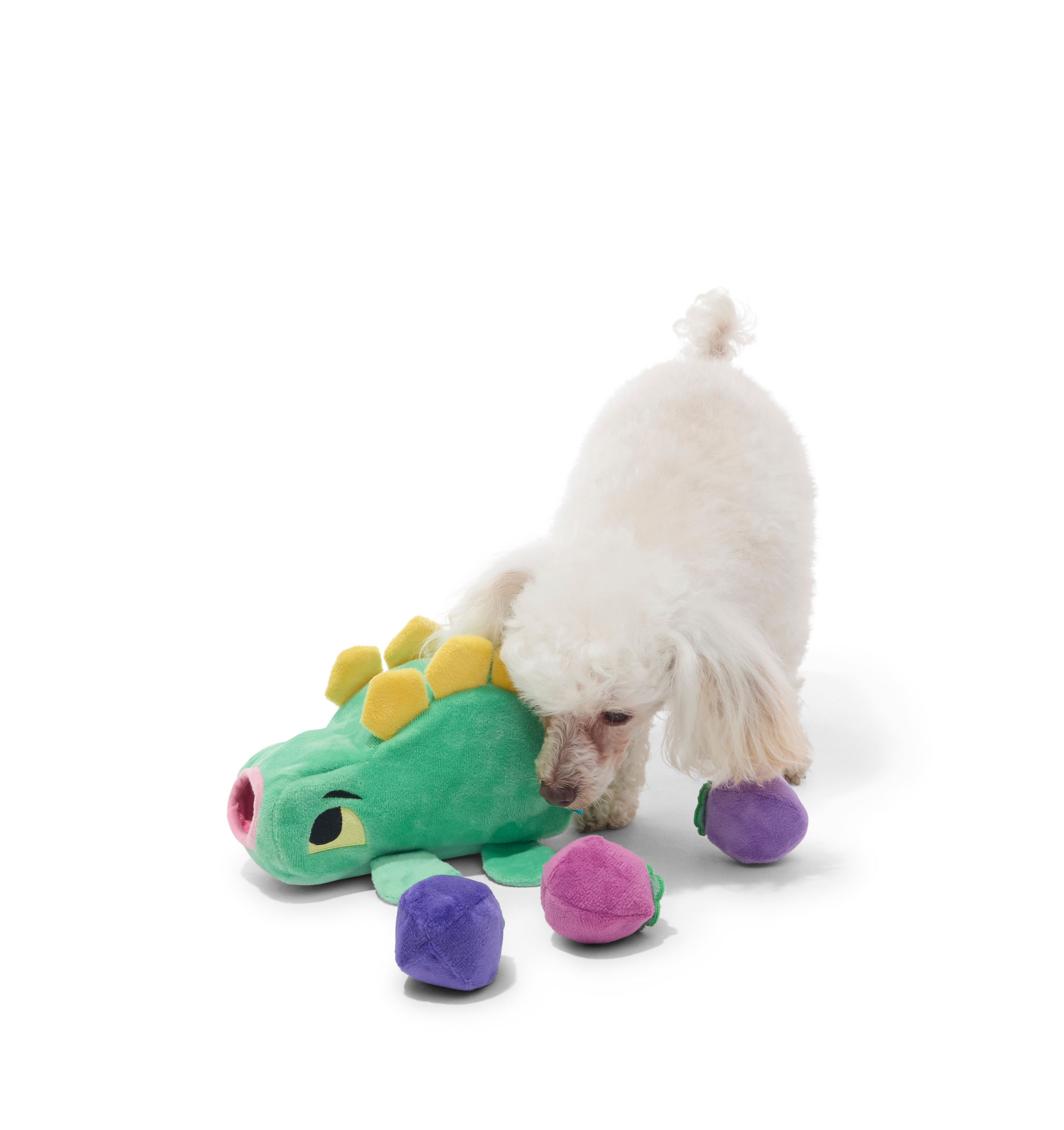 BOX_218878_BERRY-HUNGRY-BERNARD-XS-S_RASCAL_70635.png