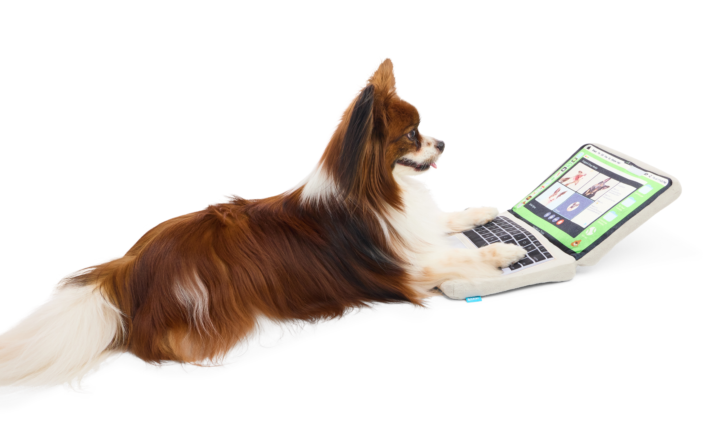 ATB_219337_SNACKBOOK-PRO-OS_MAJOR_87457.png