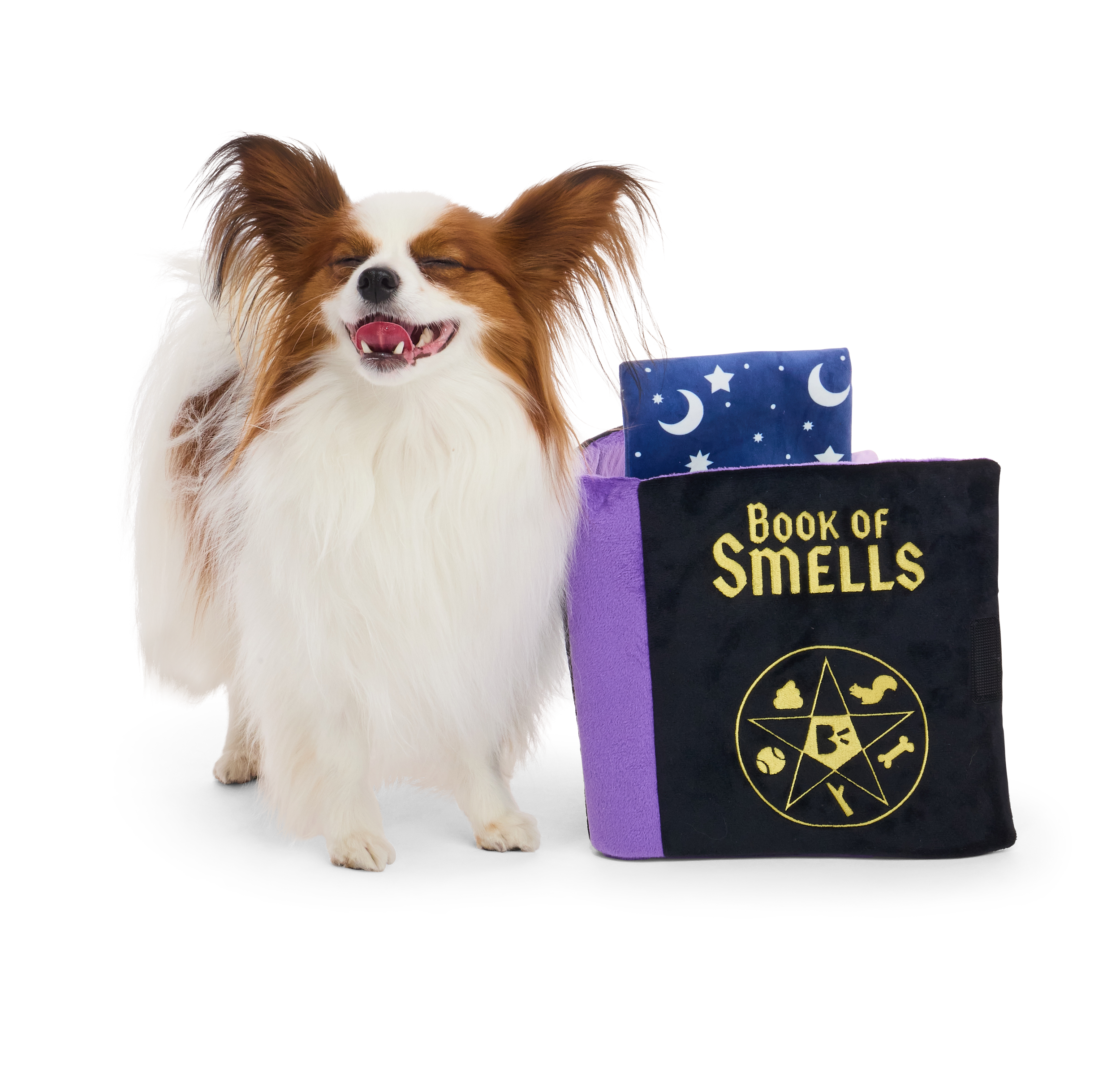 ATB_219307_BOOK-OF-SMELLS-XL_GATOR_87907.png