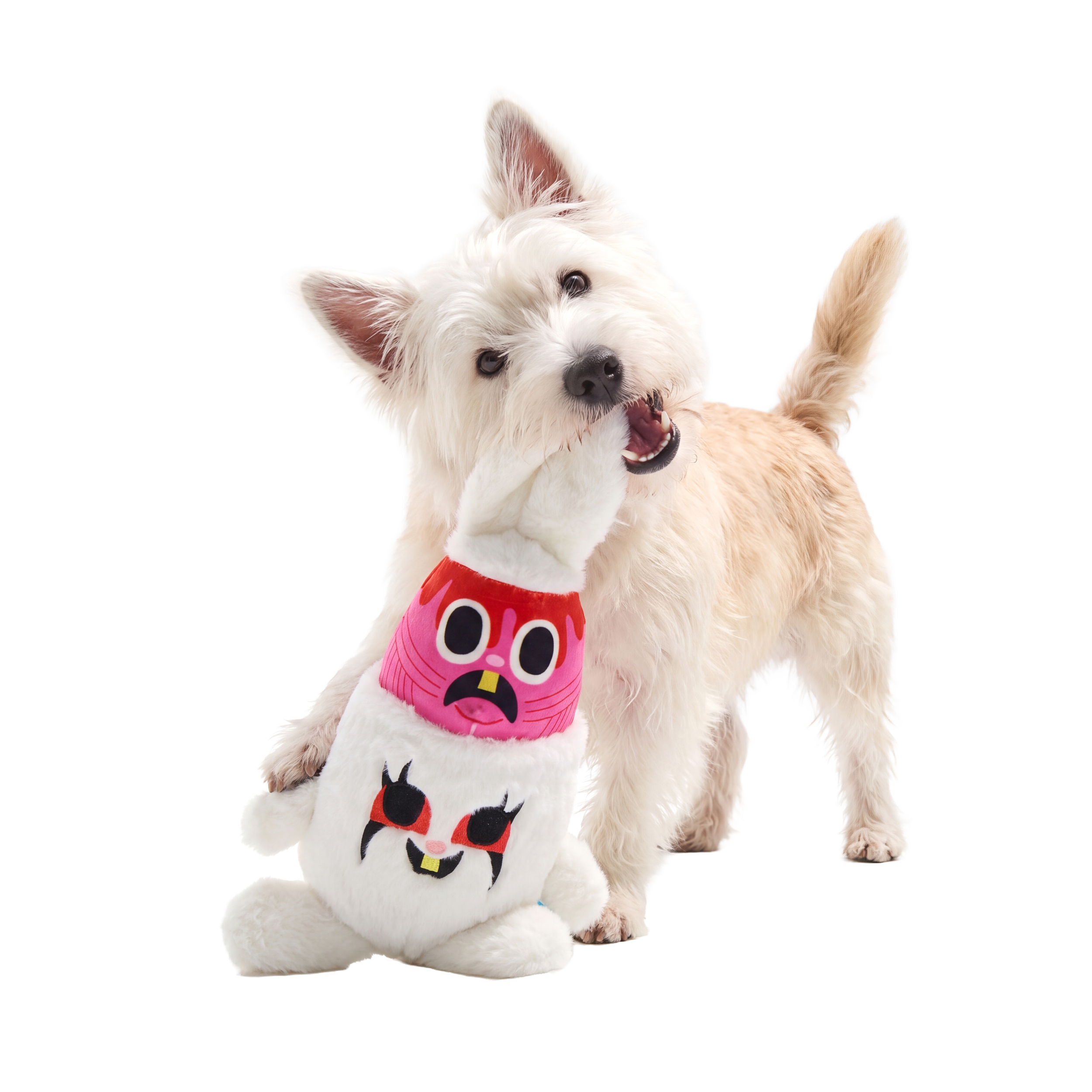 219129_Psycho-Bunny_M-L_02.png