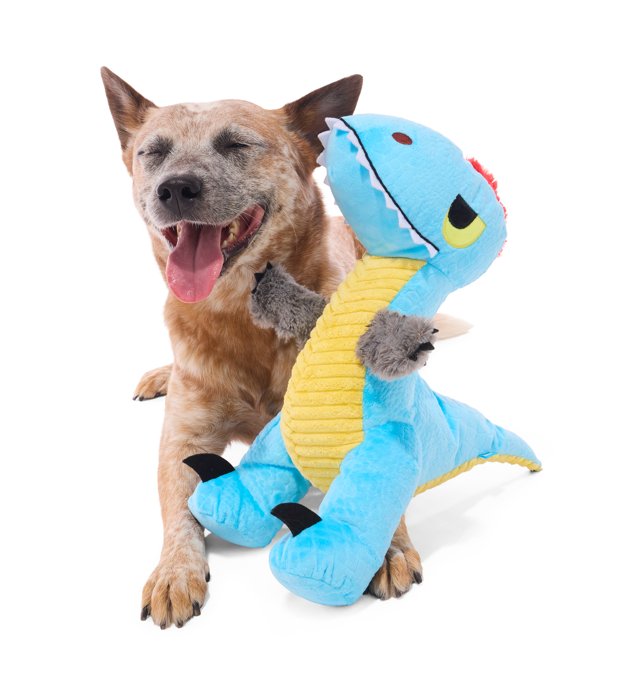 BOX_218877_UMA-UTAHRAPTOR-XL_HASTY_71538.png