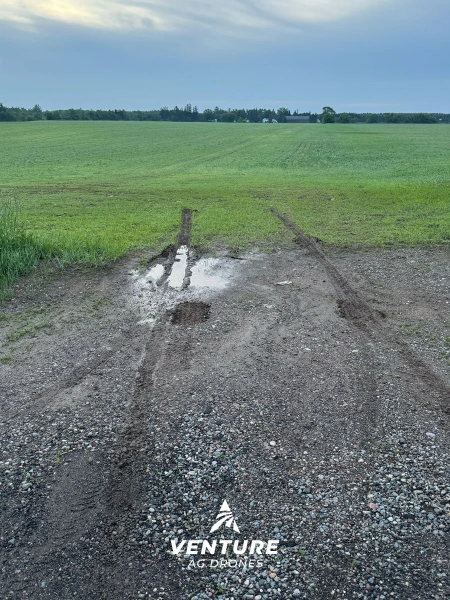 Alfalfa-New-Seeding-No-Ruts-Antigo-Wi.jpg