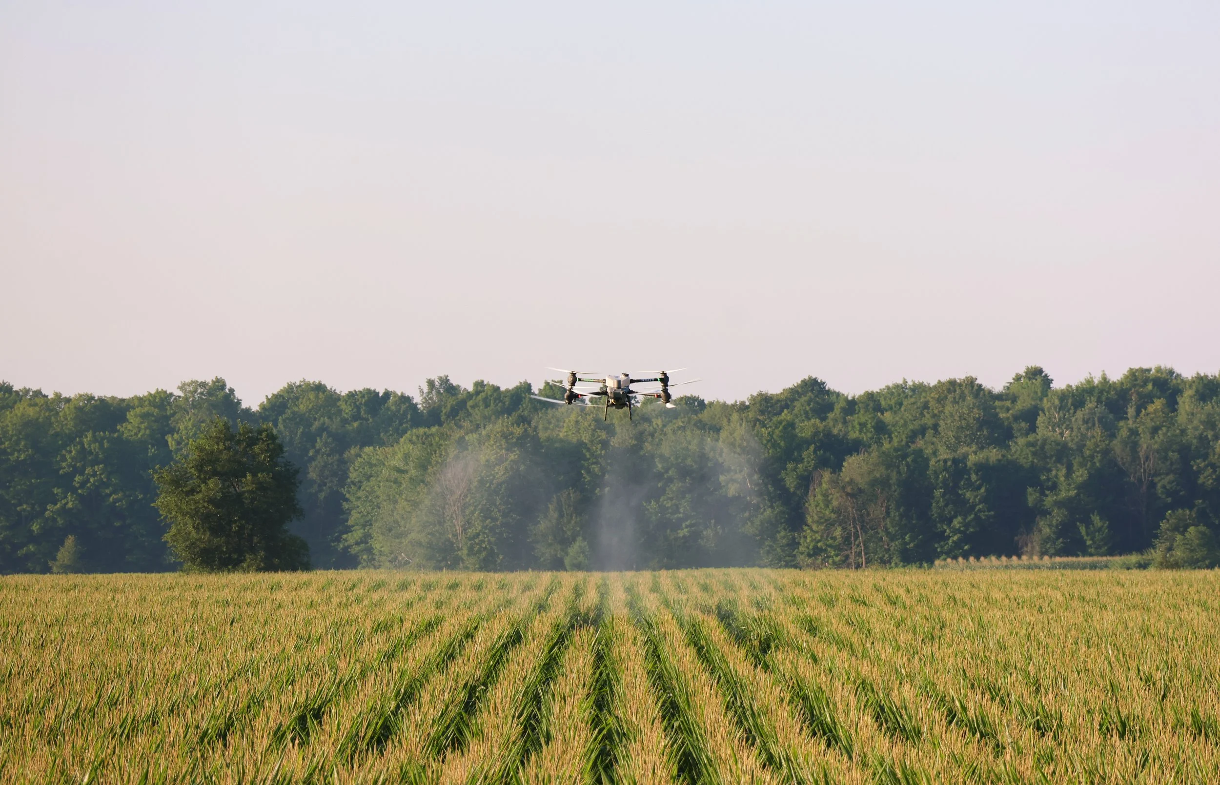 Venture-Ag-Drones-Corn-Fungicide-Wisconsin.JPEG