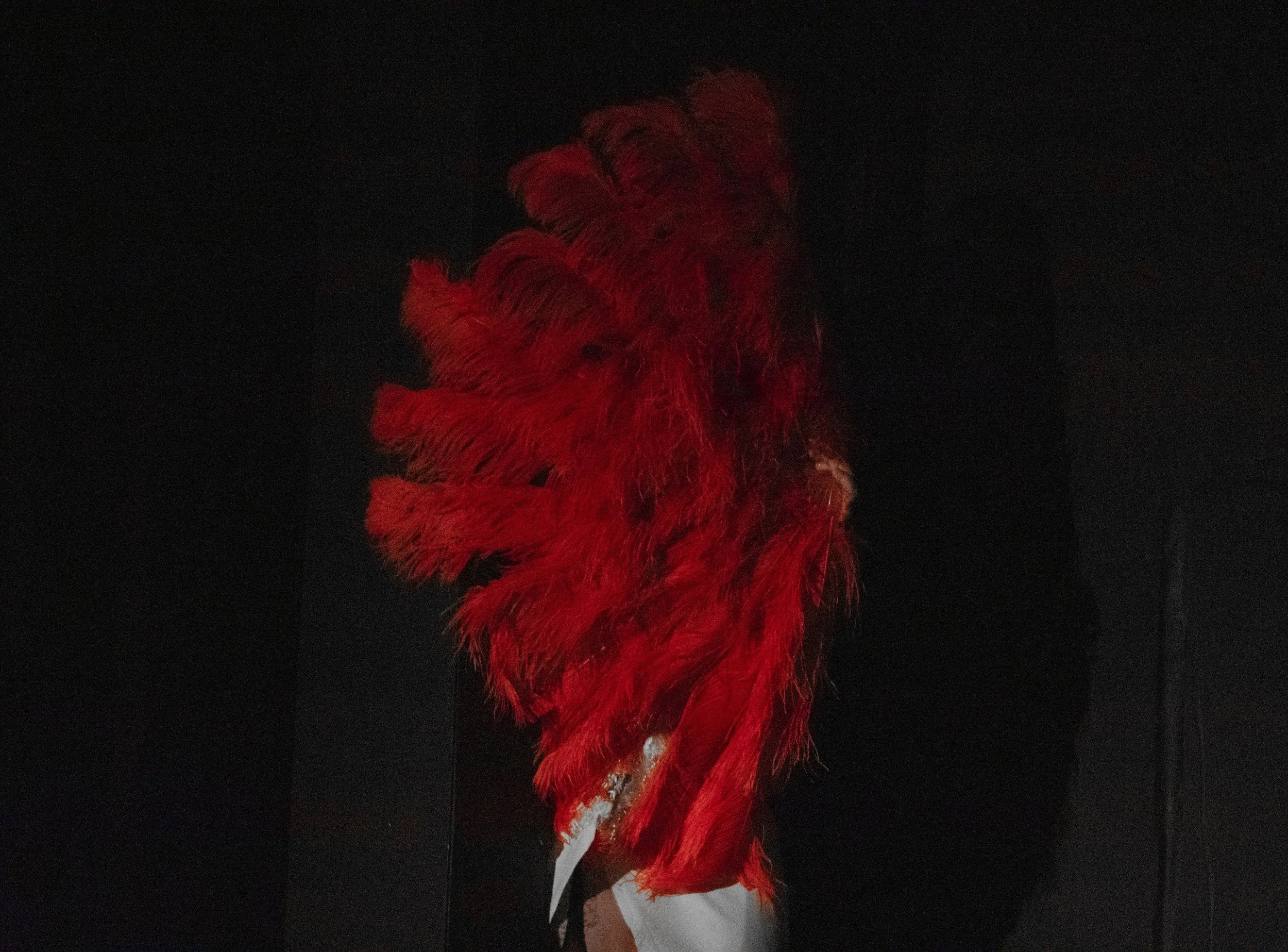 Burlesque_44.jpg
