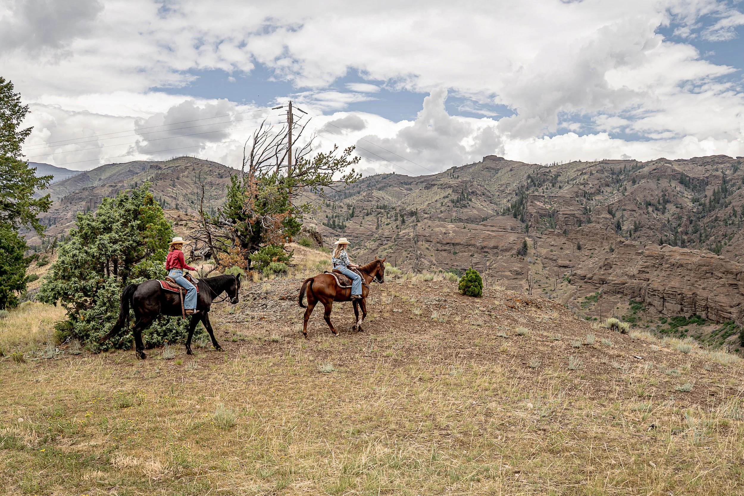A view out to the mountains on horseback at Blackwater Creek Ranch.