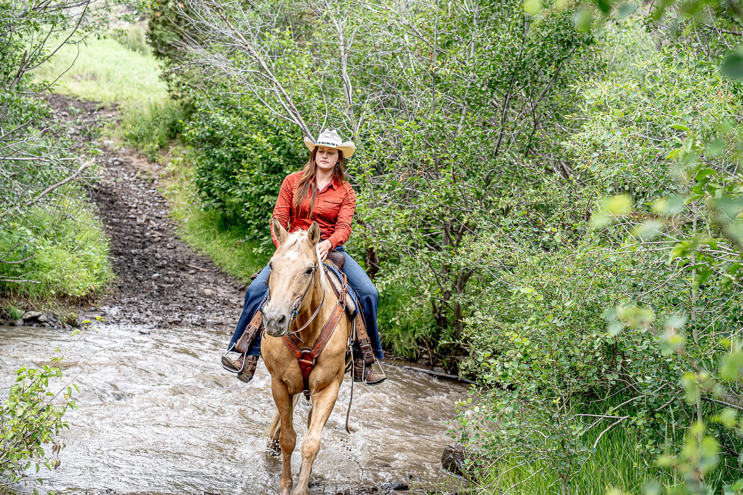 A dude ranch guest crosses Blackwater Creek on horseback.