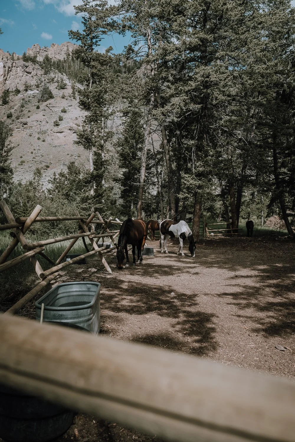 The corrals at Blackwater Creek Ranch in Cody, Wyoming.