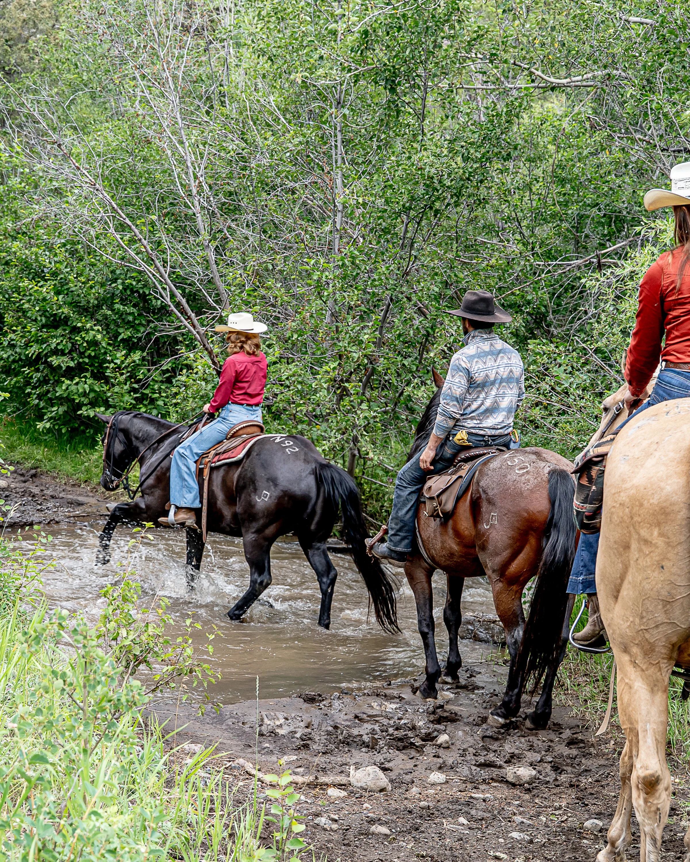 Crossing Blackwater Creek on horseback during a dude ranch vacation.