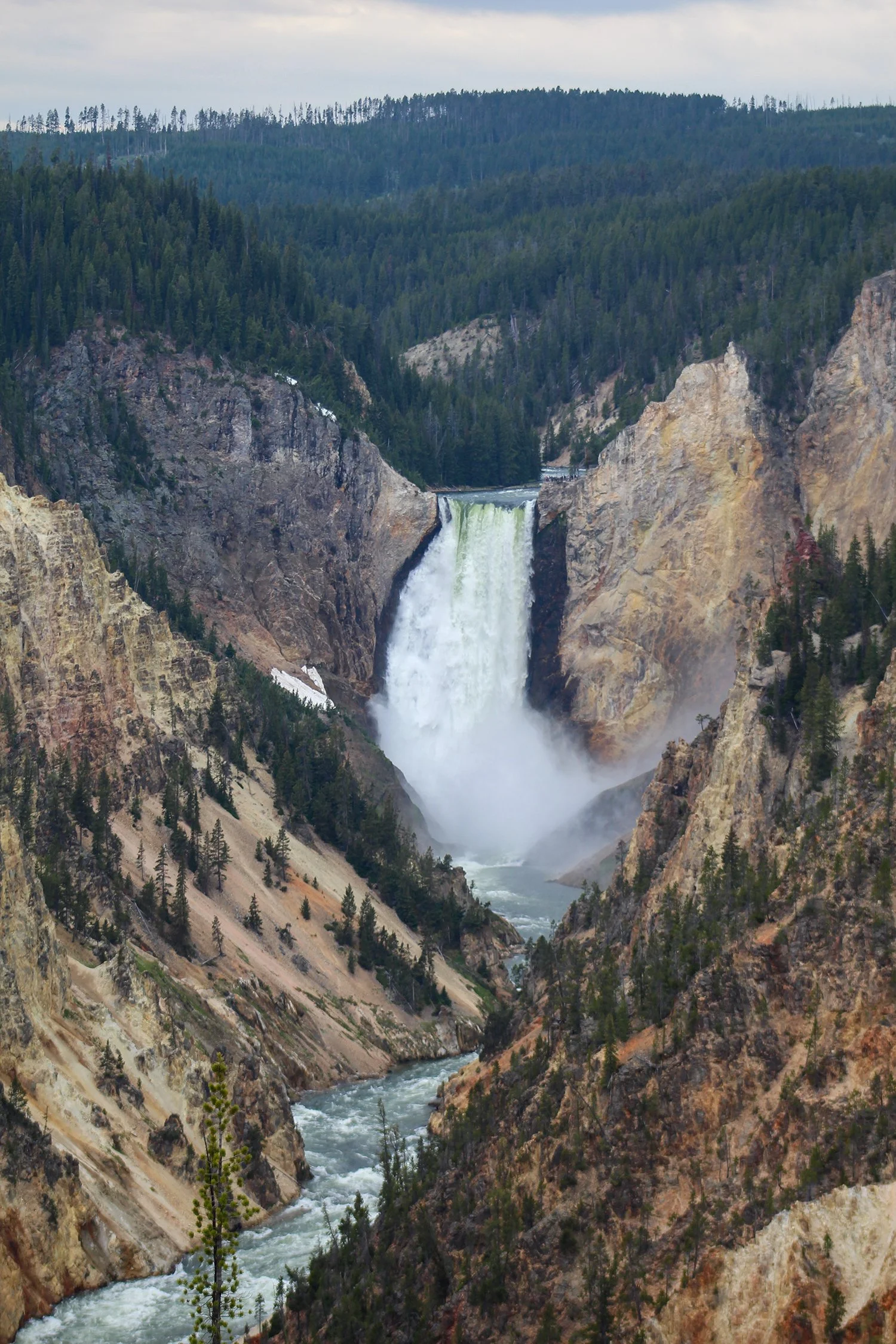 Yellowstone 3.jpg