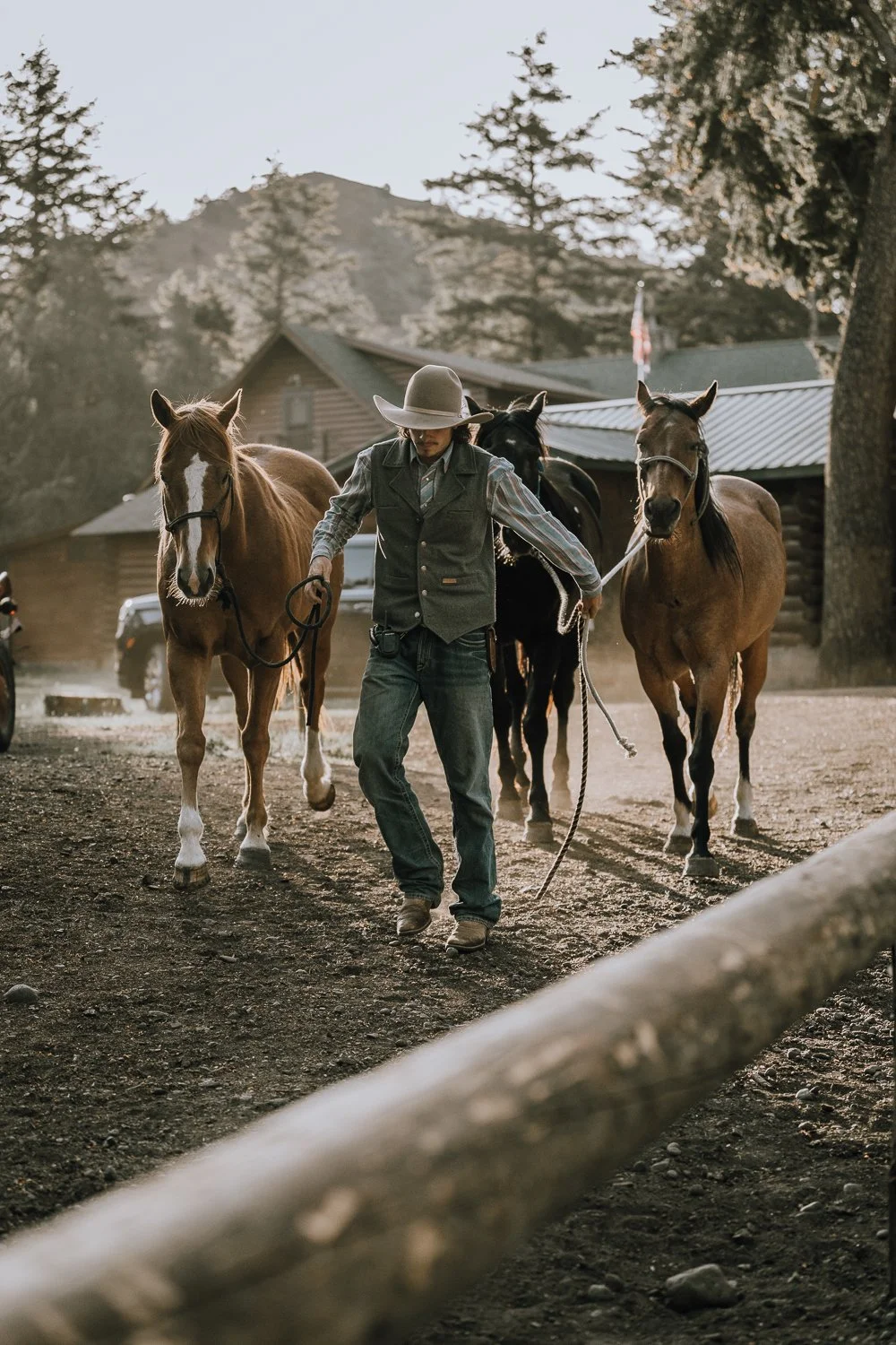 A Blackwater Creek Ranch wrangler leads three horses to the corral.