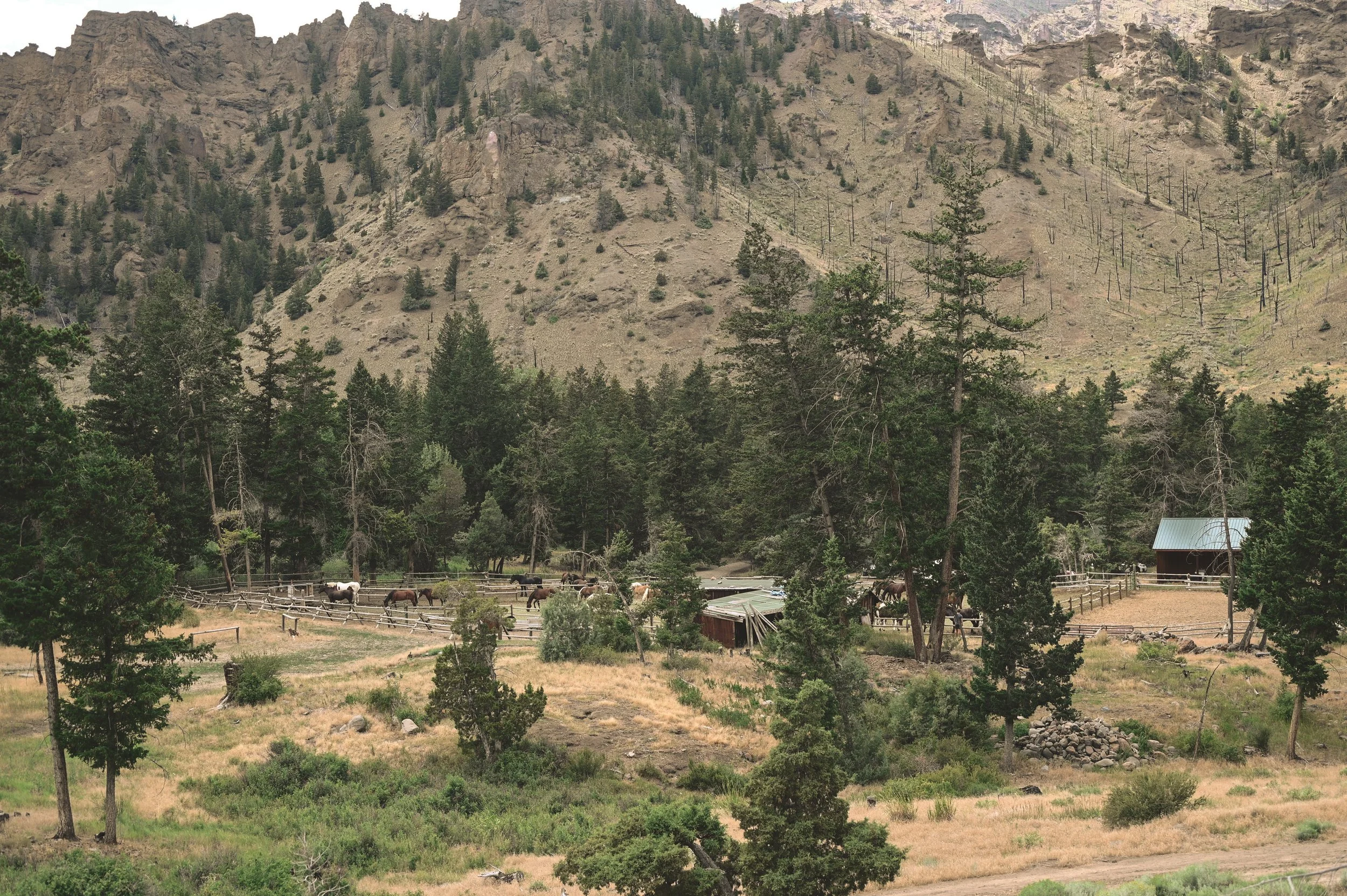 DSC_0297.jpg