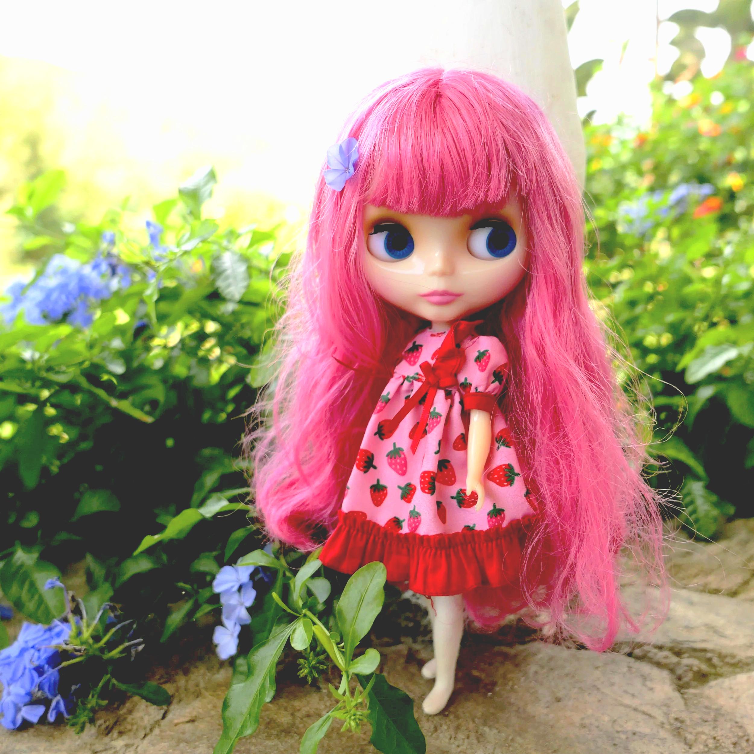 Heavenly Strawberry in the Philippines