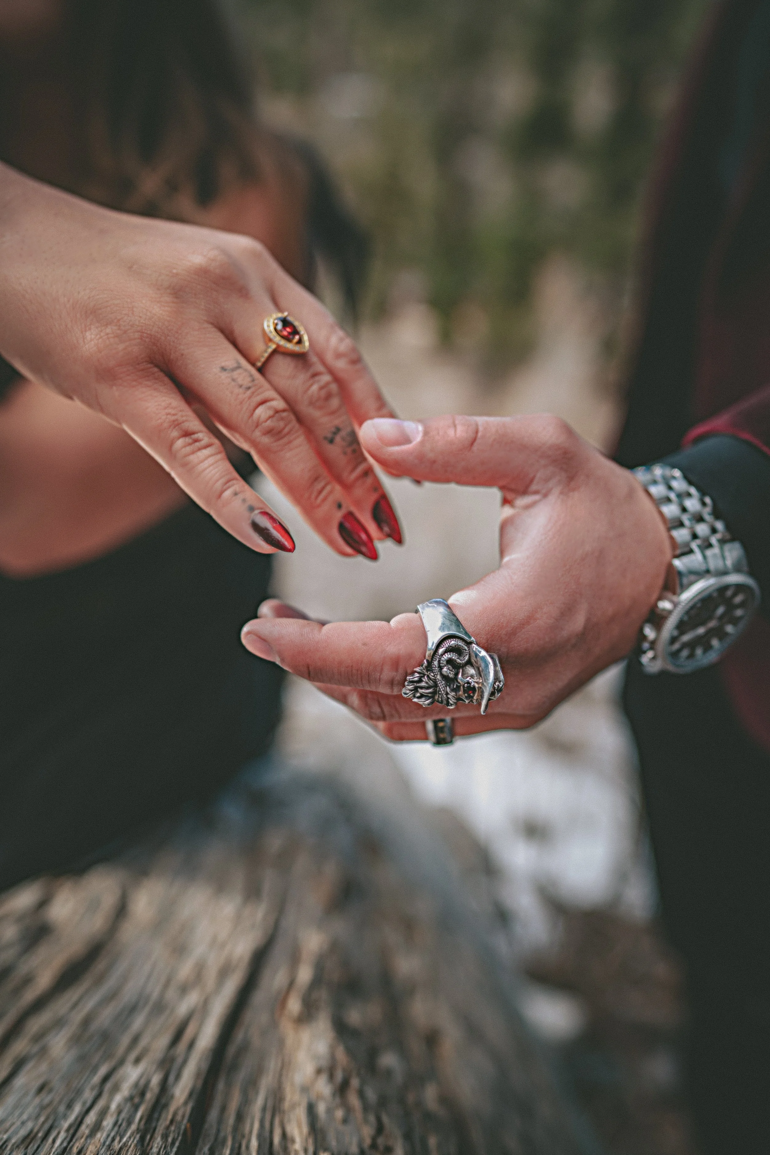 KB_2026-edit32 edit.jpg