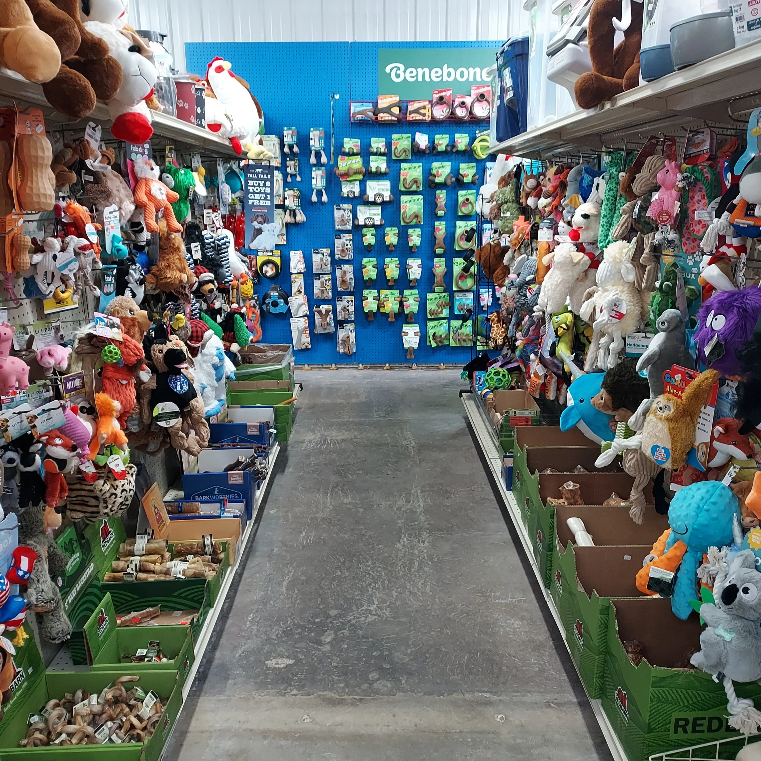 Dog Toys.jpg