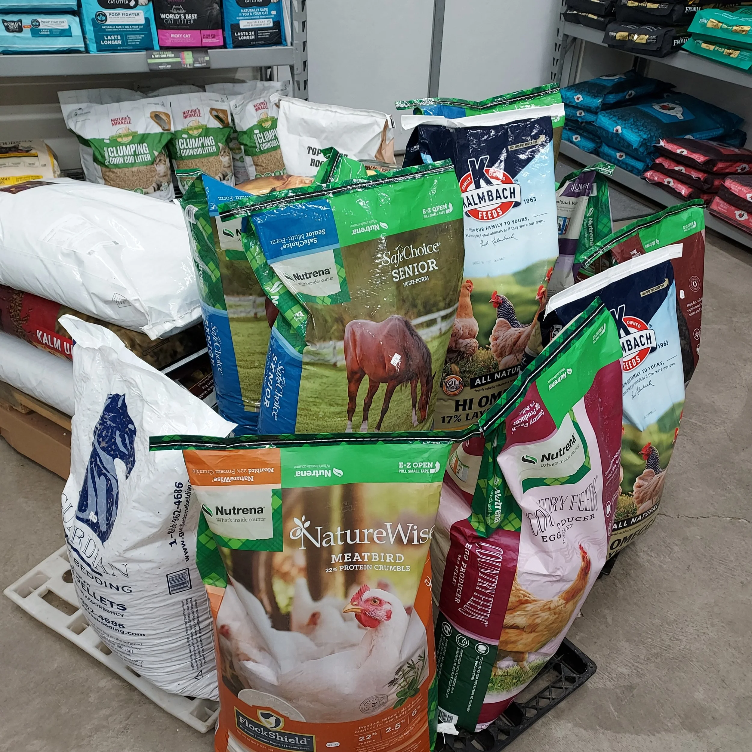 Horse Chicken Feed.jpg