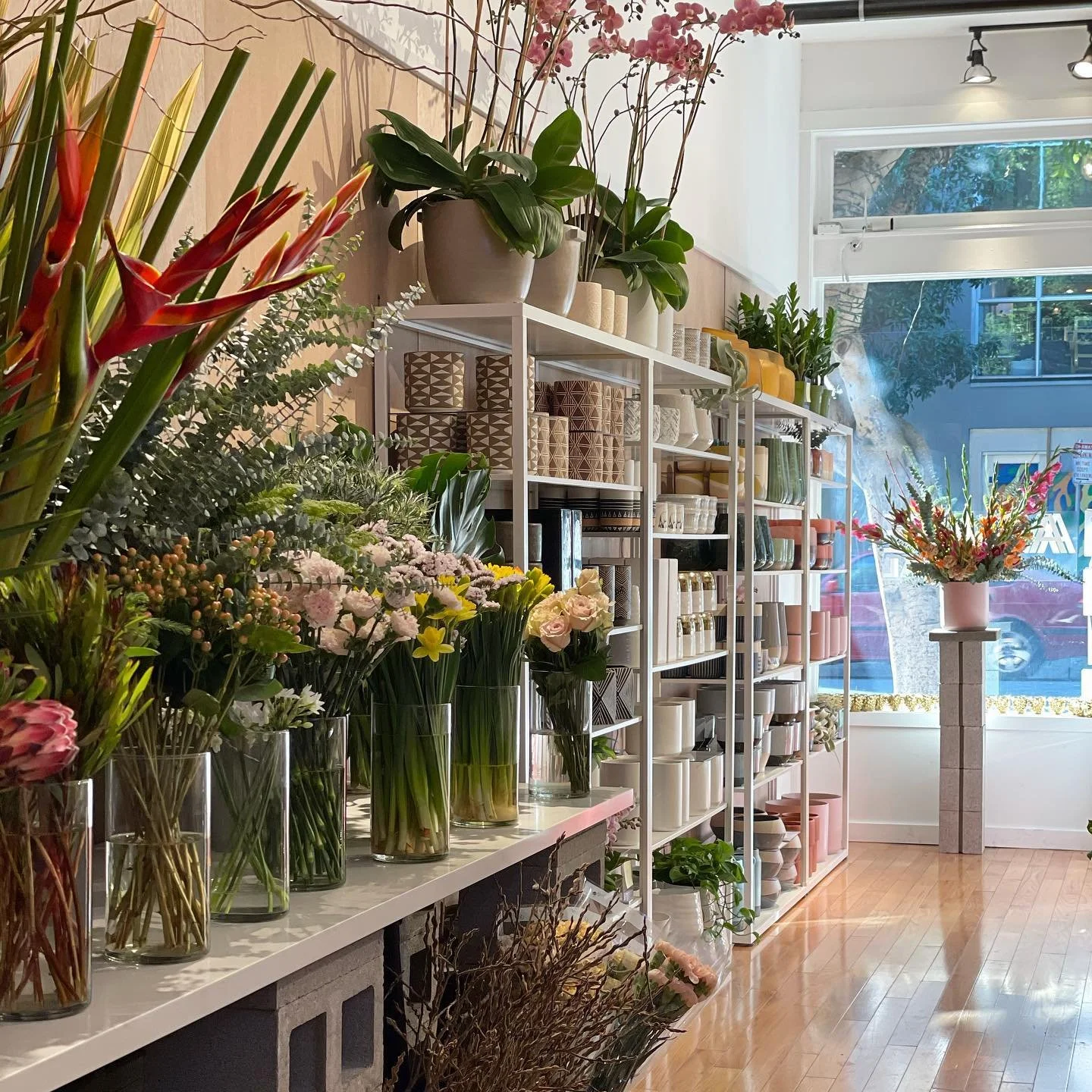 Interior of a floral shop with shelves and vases filled with flowers and plants.