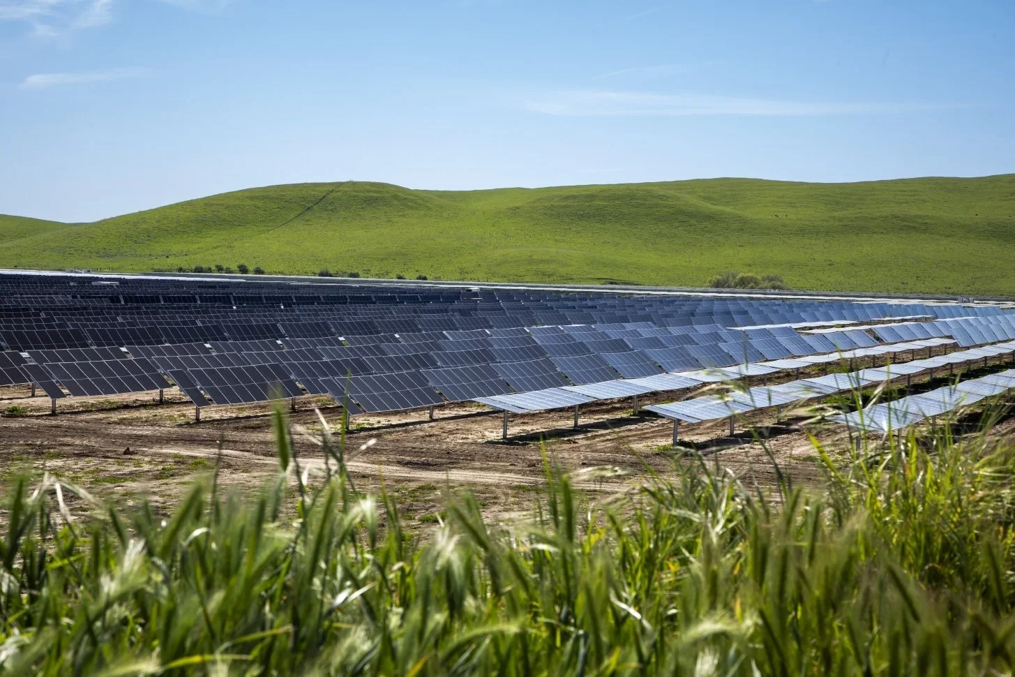 Solar panels generating electricity