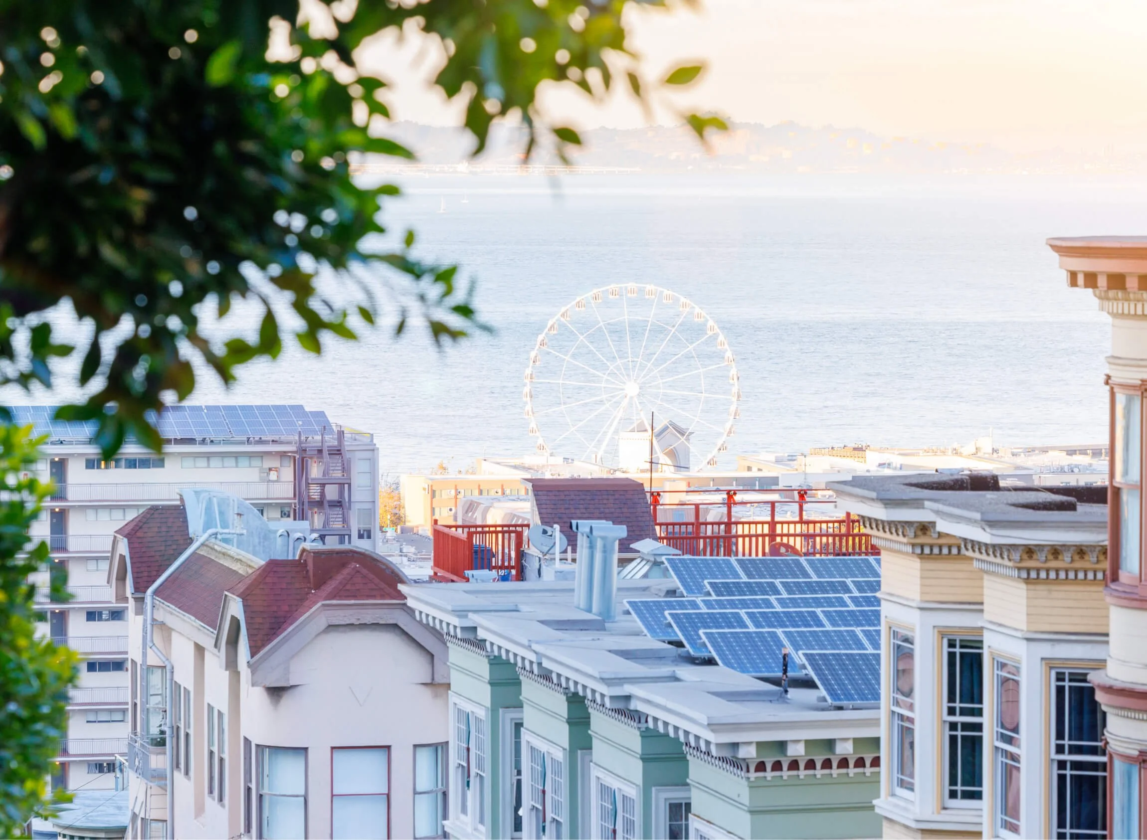 Rooftop solar panels on San Francisco homes overlooking the waterfront and ferris wheel.