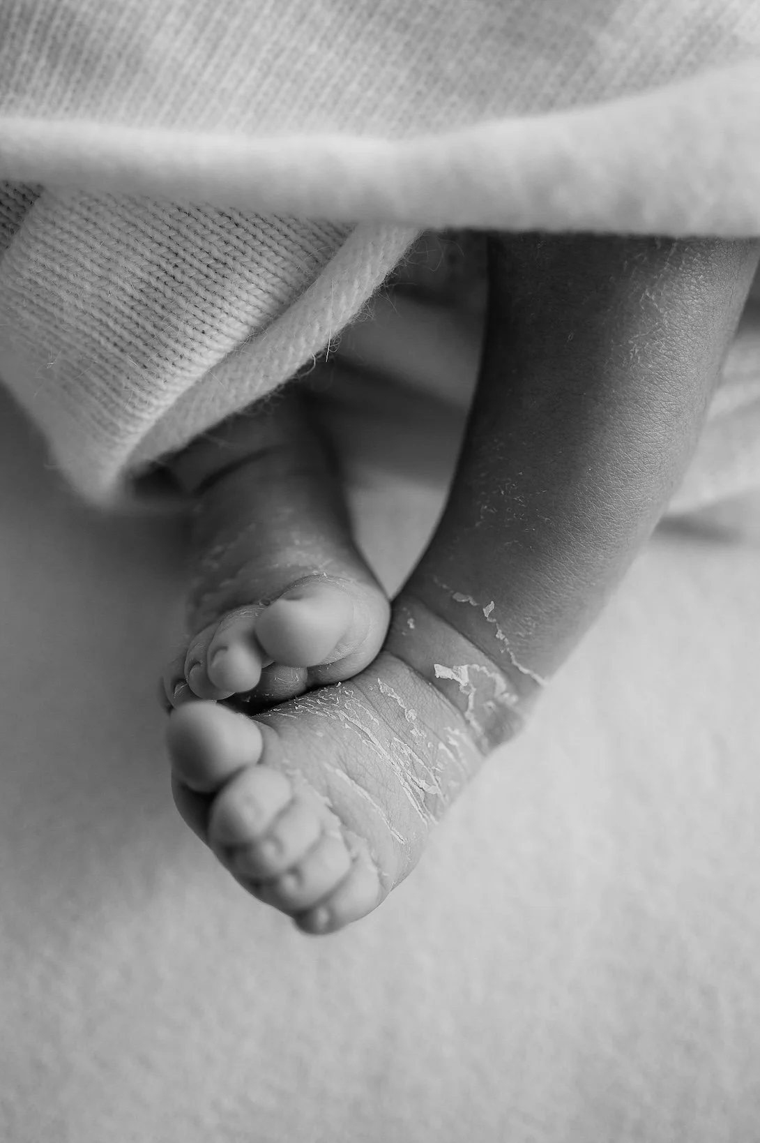 black and white close up of newborn baby feet and toes during studio newborn session The Woodlands TX