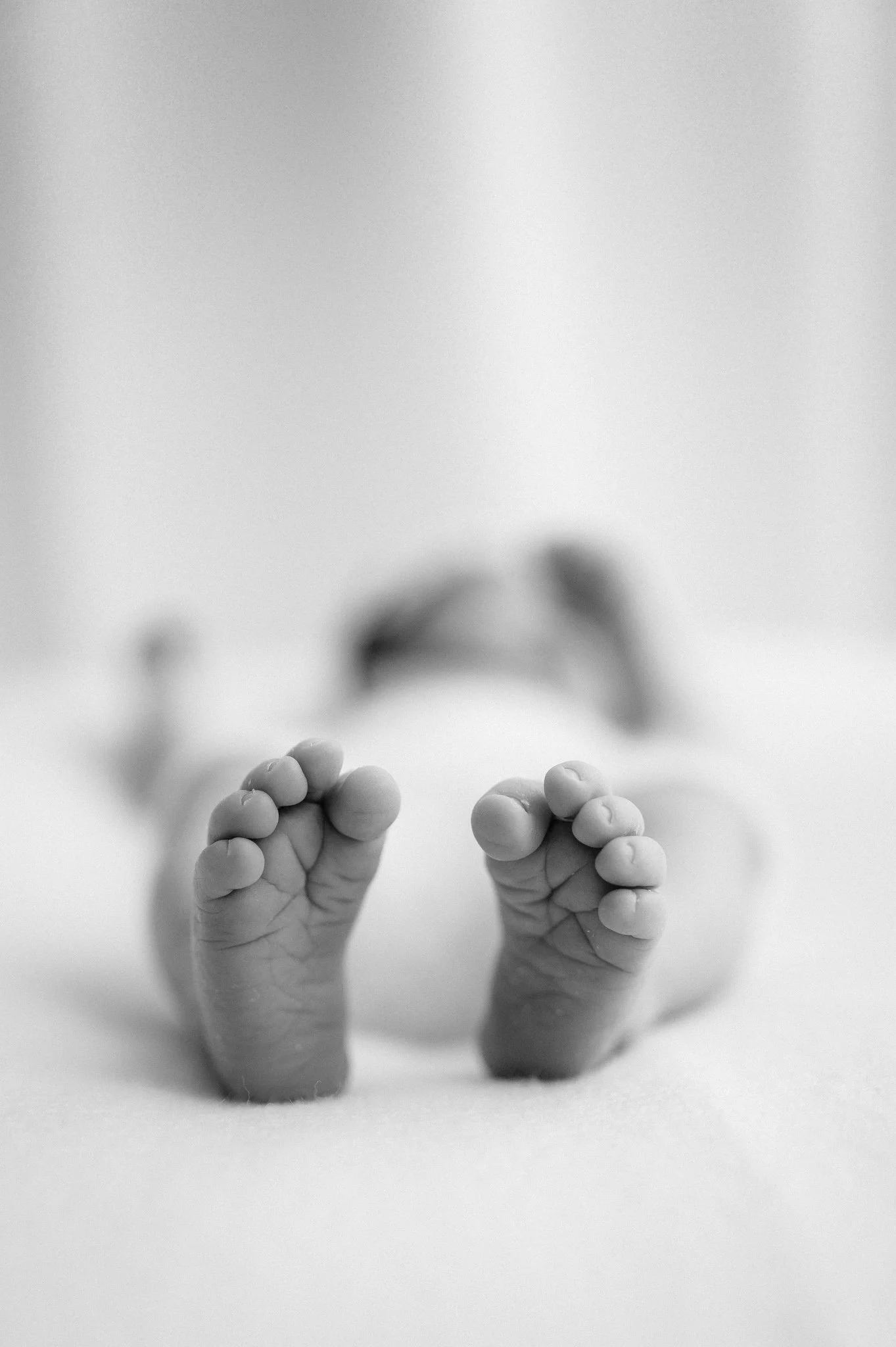 Studio or In-Home Newborn Photography: Which Session Is Right for You?