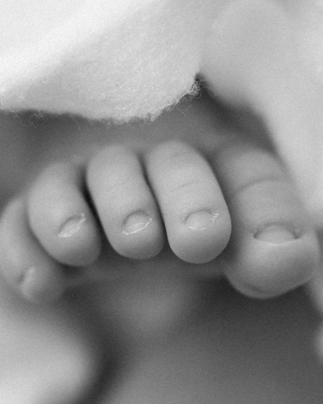 The tiny toes will always be my favorite thing in this world to capture 🥹

&mdash;&mdash;&mdash;&mdash;
Houston Newborn Photographer
The Woodlands Newborn Photographer