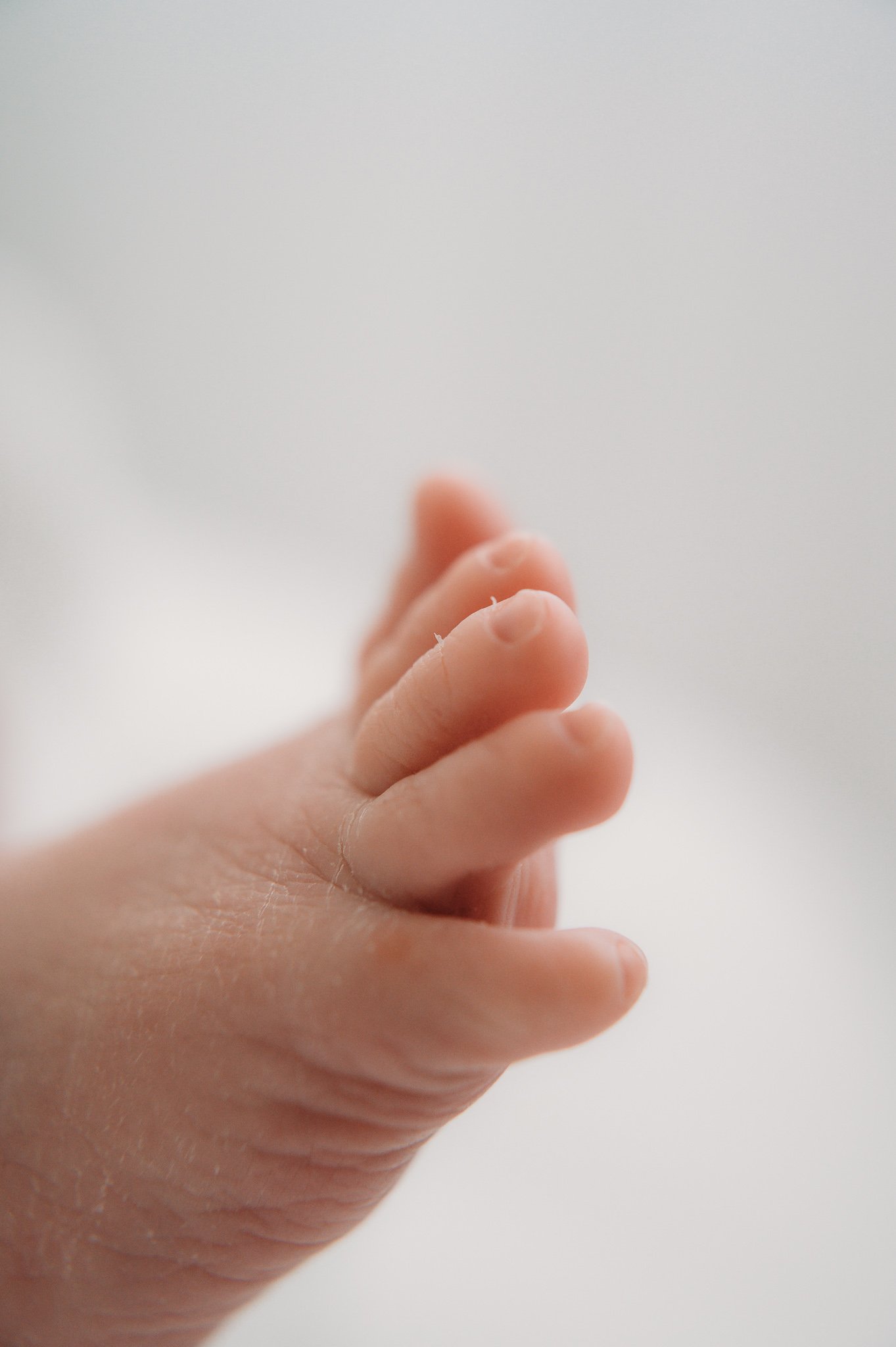 close up detail of newborn baby foot and toes during newborn photography session The Woodlands TX