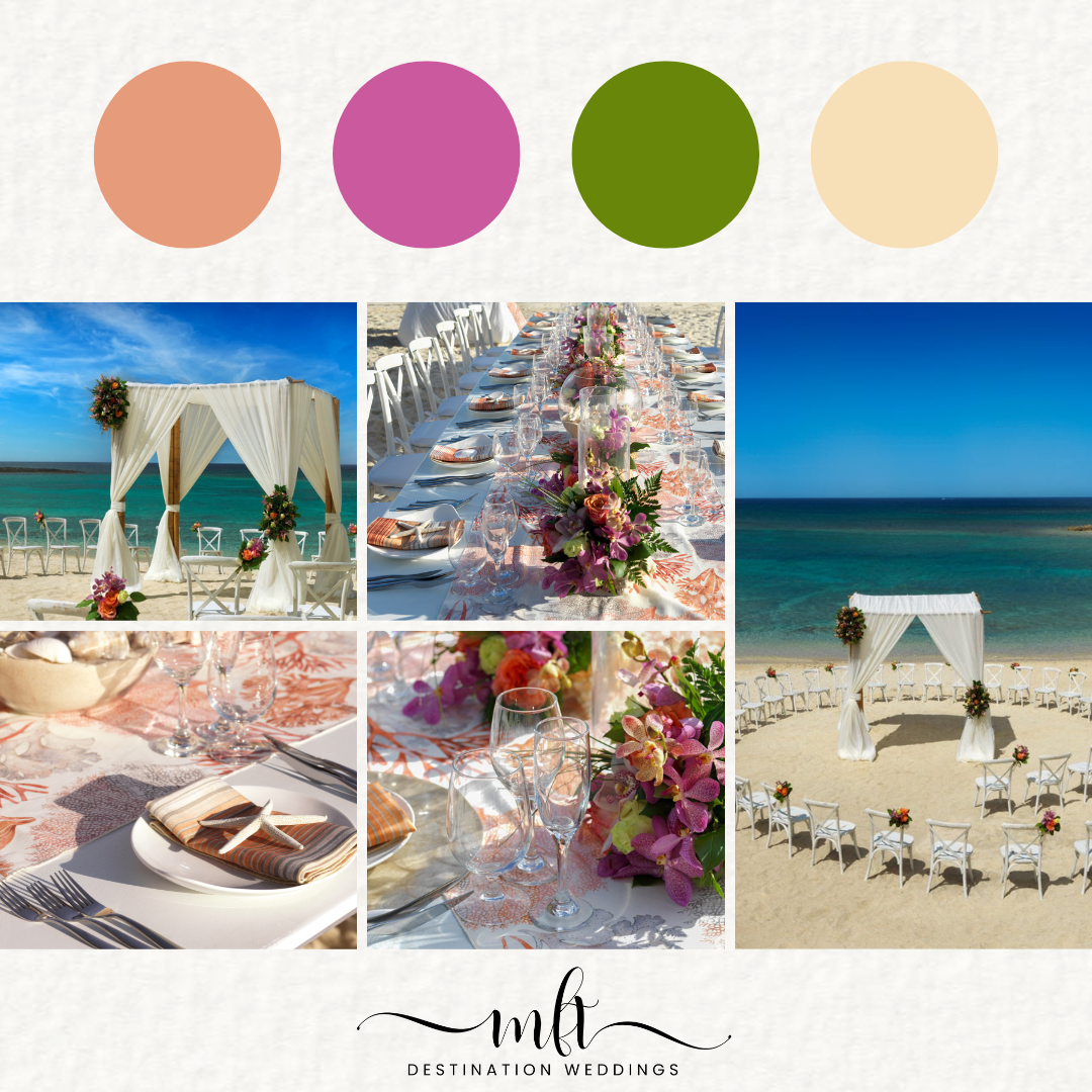 Bahamian Seashells.png