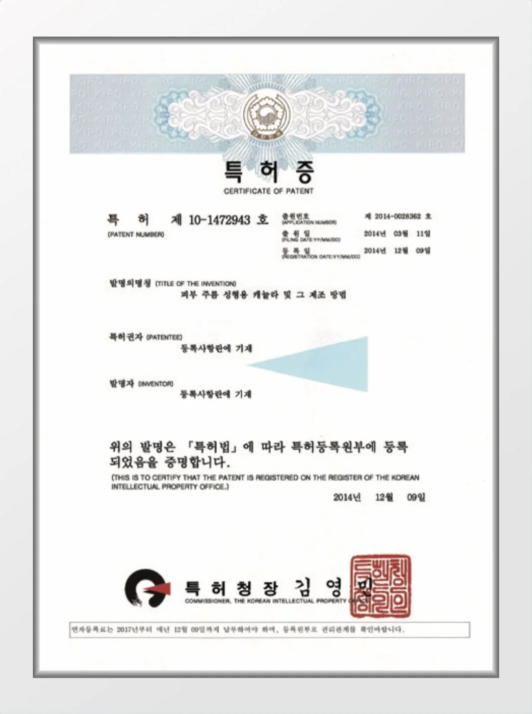 ACE cannula and sharp needles patent certificate.PNG