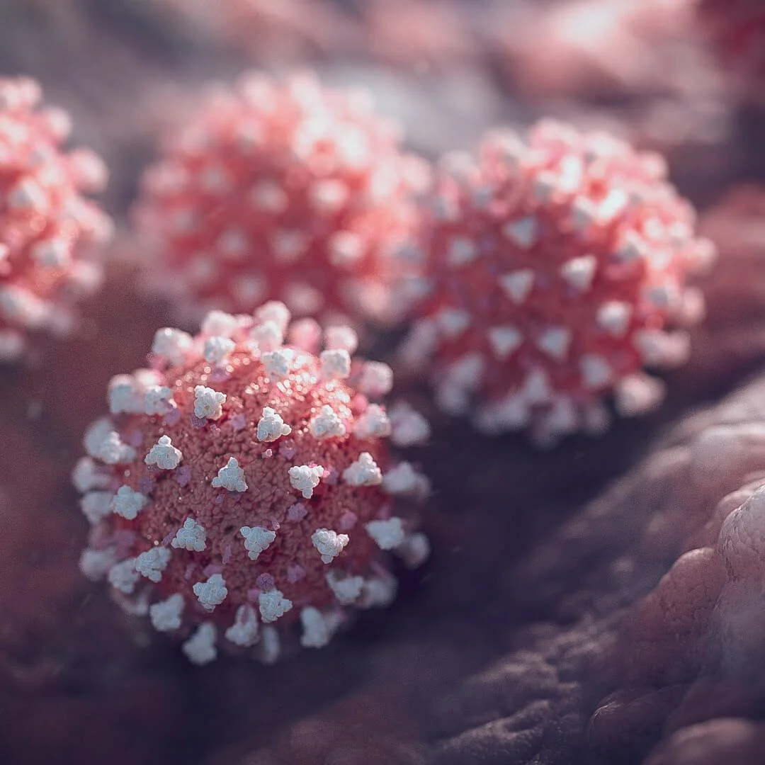 Close-up of three pink and white coronavirus particles on a dark, textured surface.