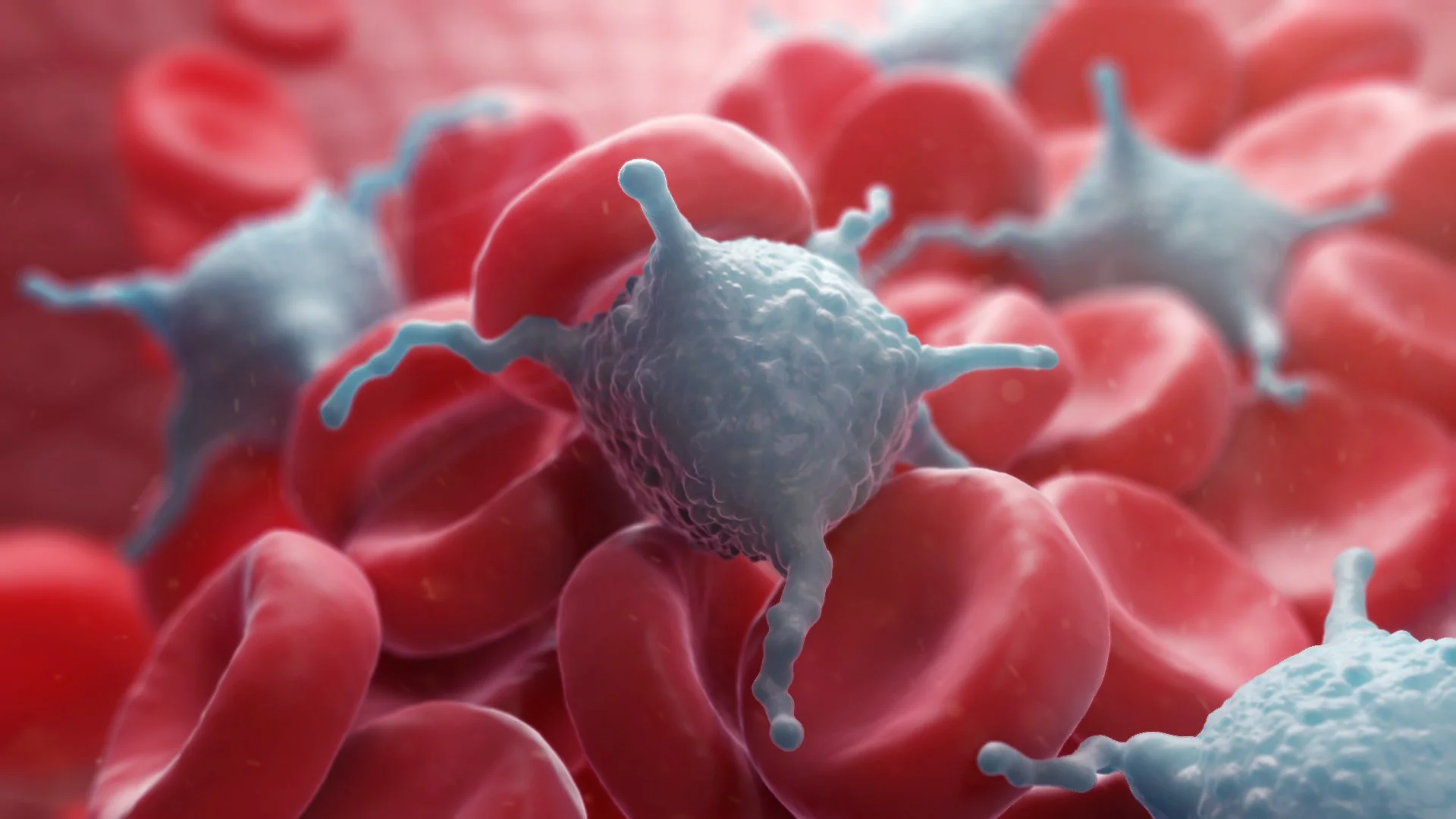A detailed computer-generated illustration of human platelets on a bed of red blood cells.