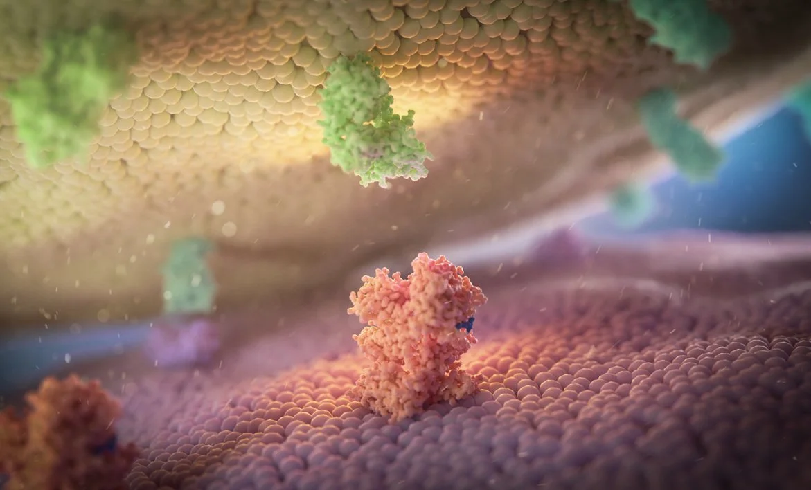 DRUG MECHANISM-OF-ACTION ANIMATIONS