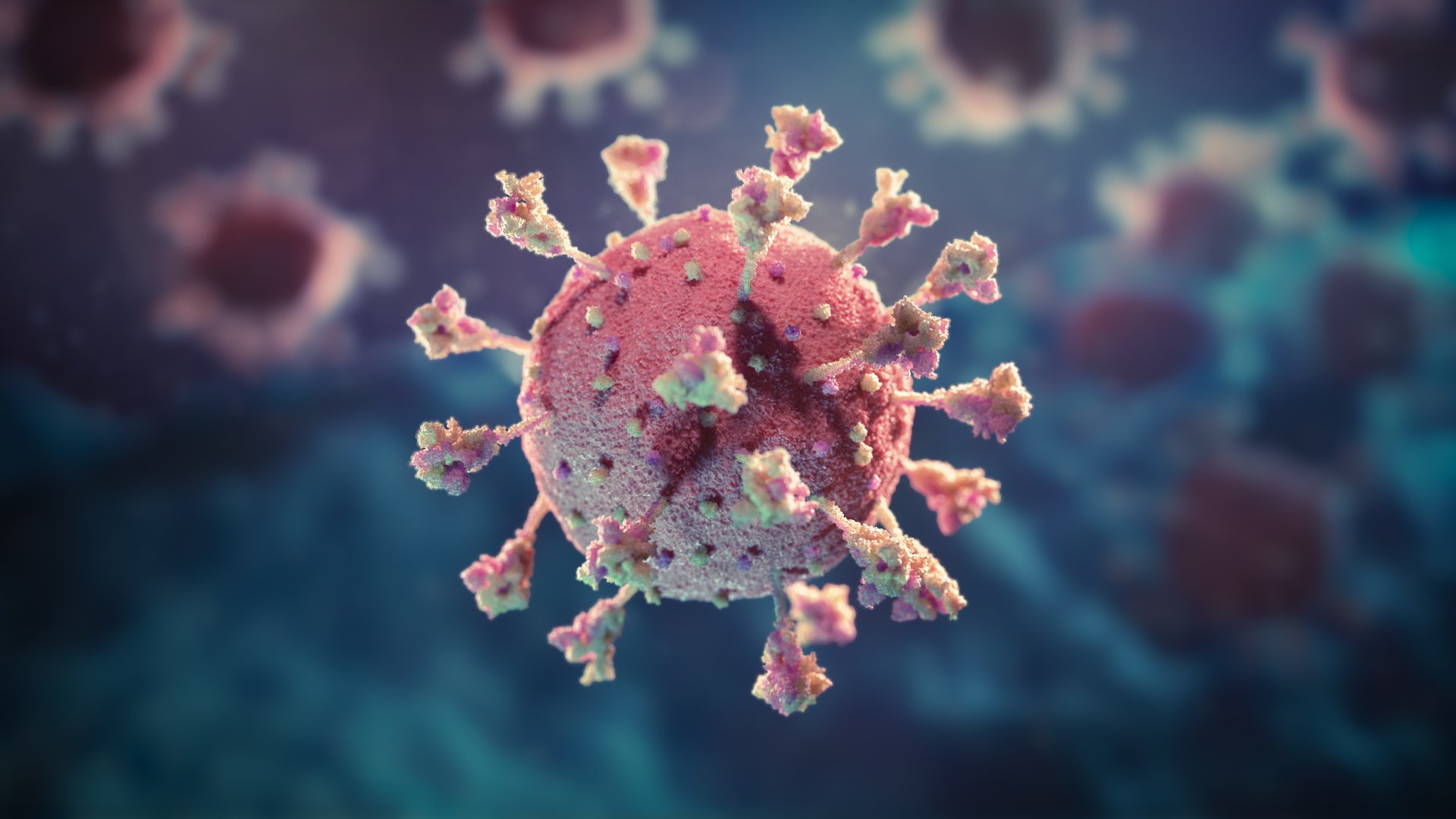HOW SARS-COV-2 INFECTS A CELL