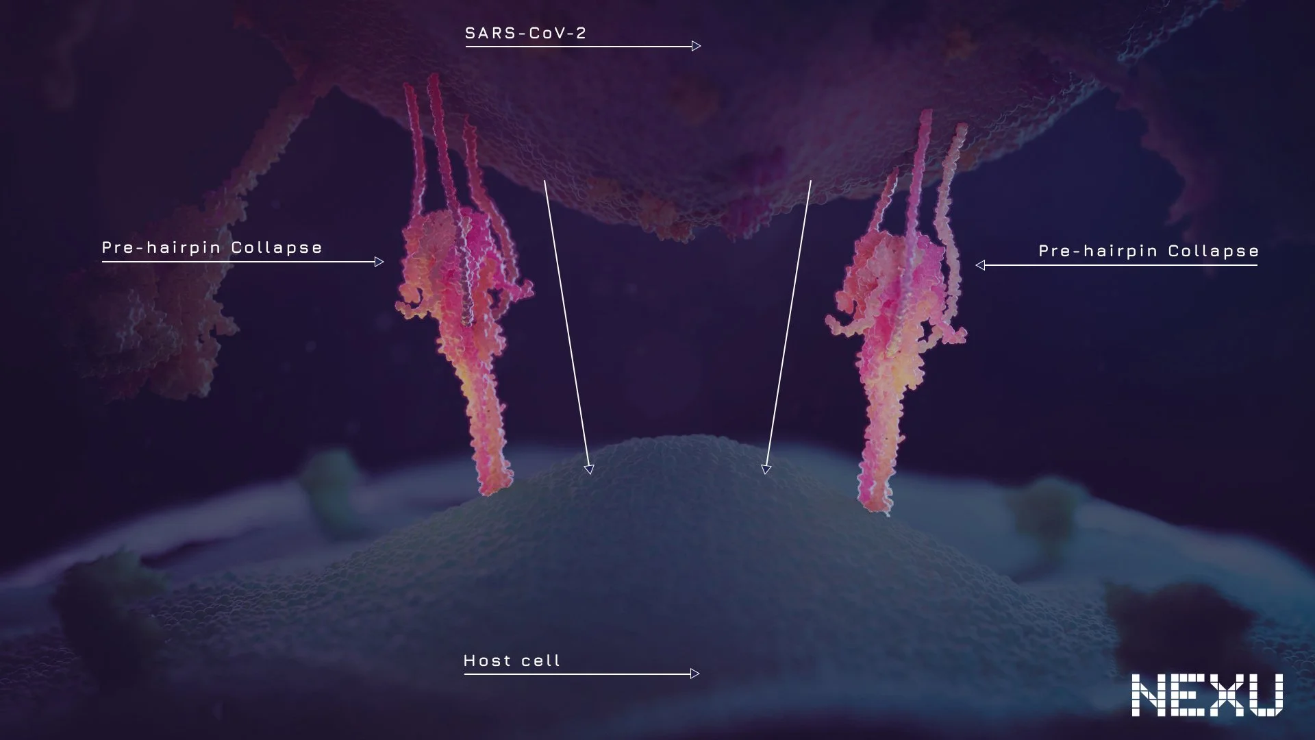 UoTaA_SARS-CoV-2_STP_04c.jpg