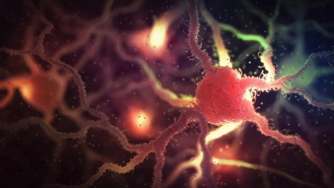 A microscopic view of a red neuron with long, branching dendrites surrounded by other neurons and glowing particles.