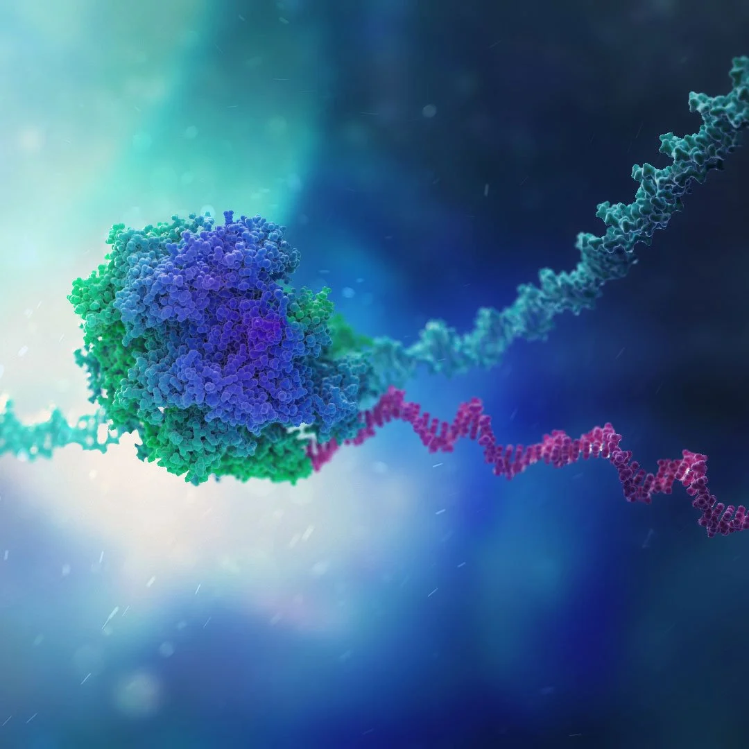 Close-up view of DNA and RNA with a colourful background, illustrating a biological or genetic process.