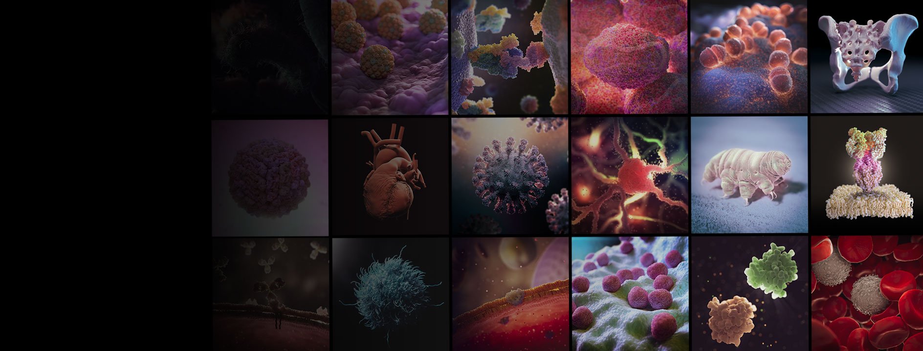 Collection of 20 microscopic images of viruses, bacteria, and cells, showcasing various shapes, colors, and structures.