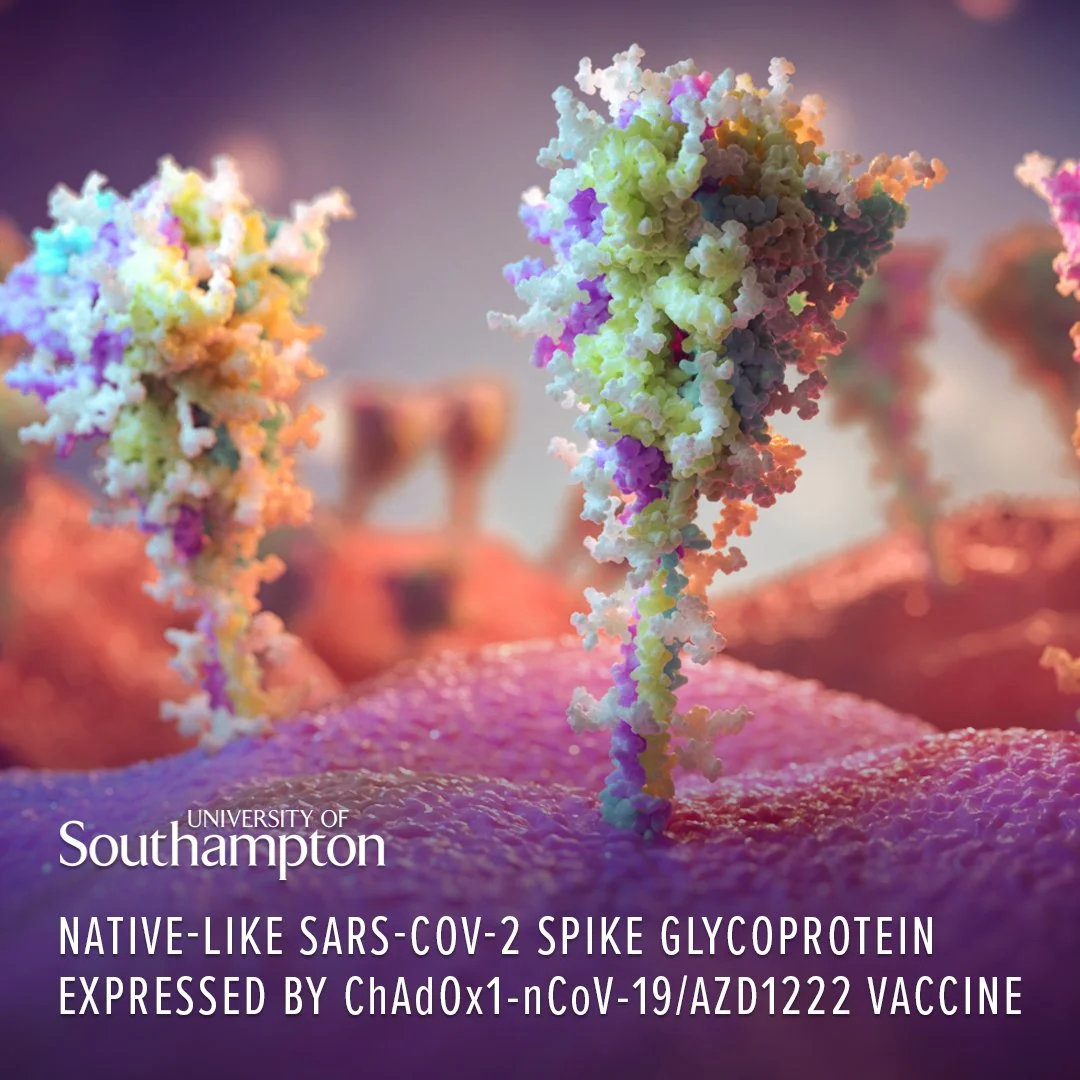 Microscopic view of a glycoprotein spike of the SARS-CoV-2 virus, colored in multiple pastel shades, with a background of virus particles, related to a University of Southampton COVID-19 vaccine research.