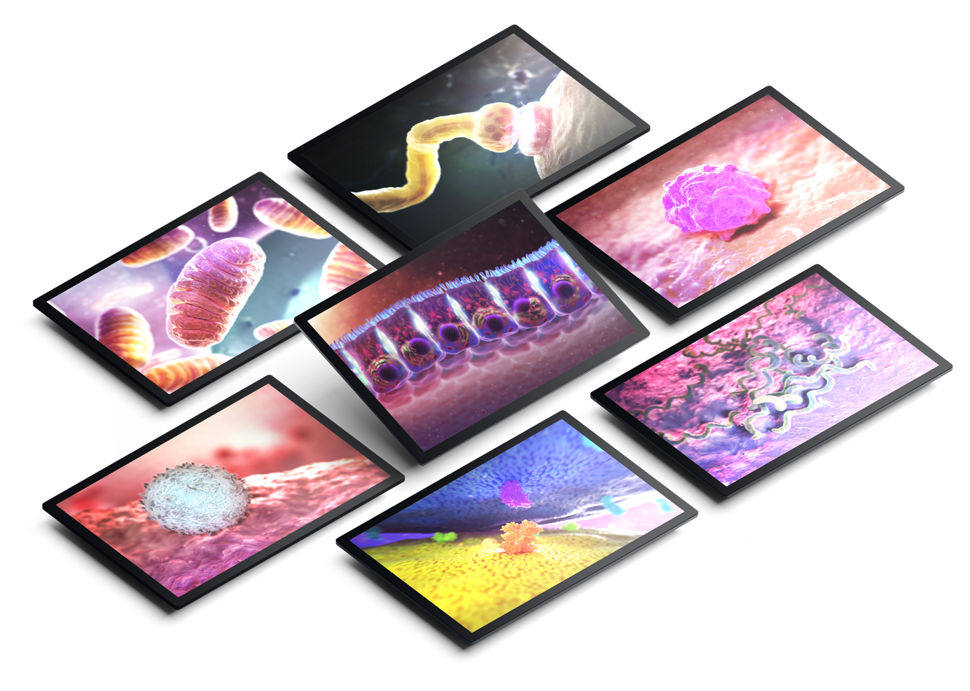 Multiple screens displaying various microscopic images of bacteria, viruses, and other microbes.