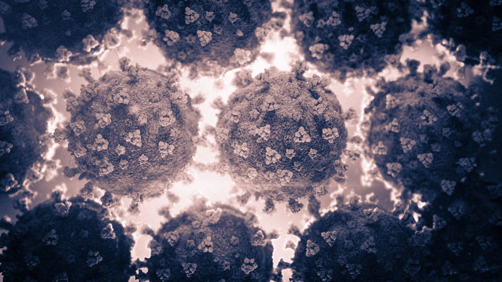 Close-up view of coronavirus particles with spike proteins on surface, illuminated with backlight, showing detailed structure.
