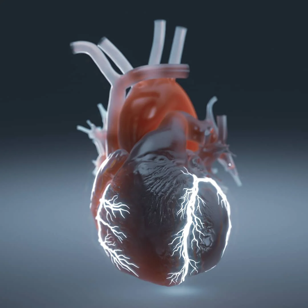 Digital illustration of a human heart with visible electrical signals.