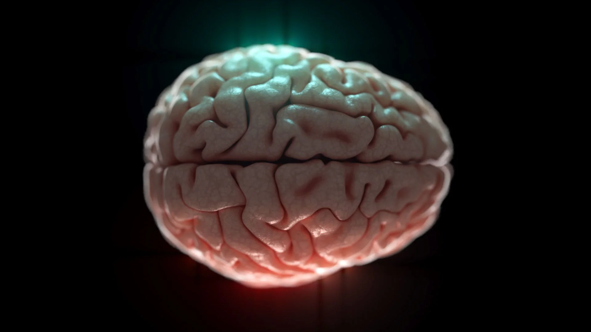 Brain_Fallback.jpg