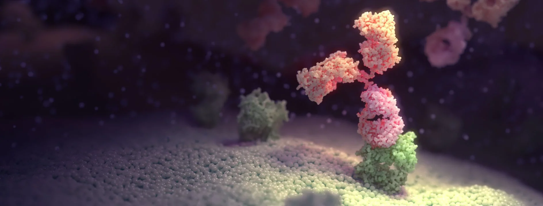 A detailed CGI illustration of a human antibody attached or bound to a cell receptor, with pink and green colored bases, floating above a textured, granular surface in a dark, space-like environment.
