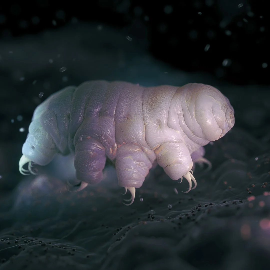 Biomedical 3D animation asset depicting micro-organism adaptation in extreme environments.