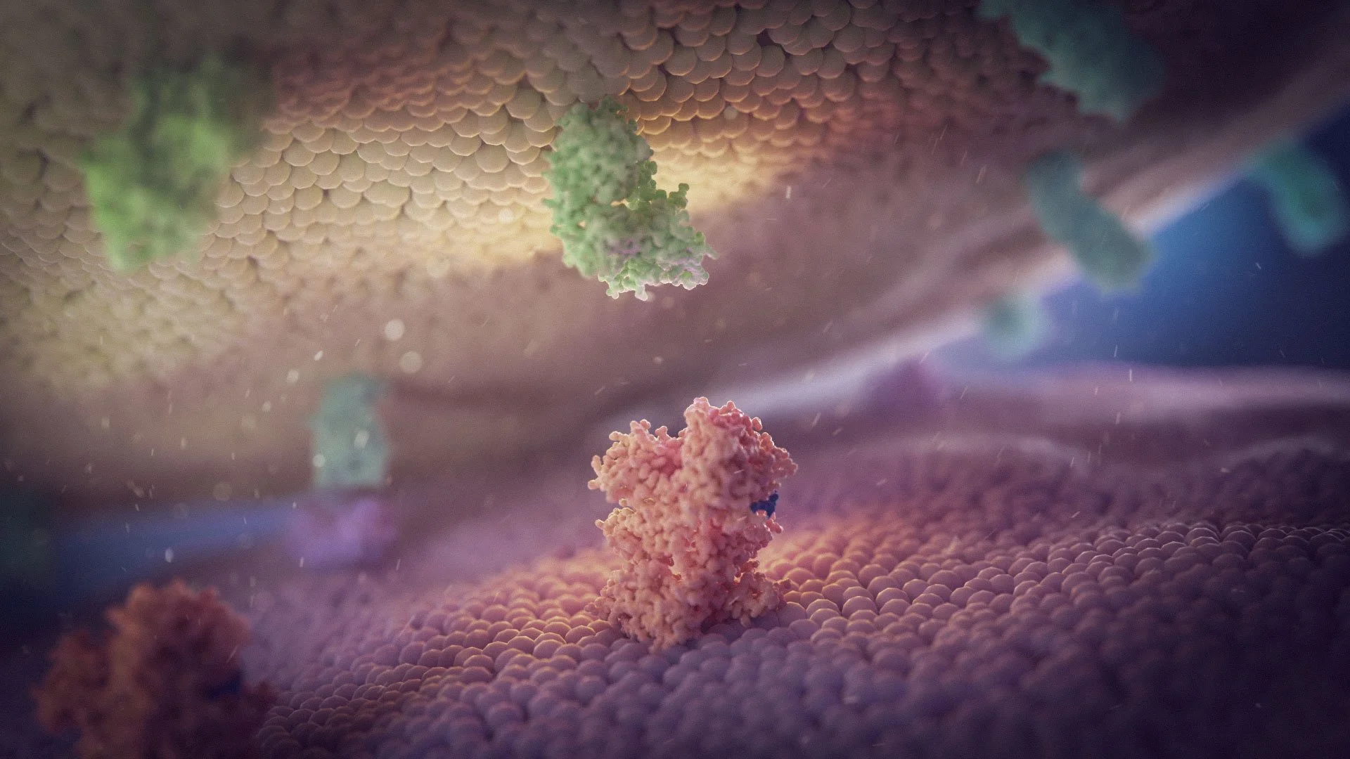 Close-up view of two cells about to bind at a molecular level, in a pink and green color palette.