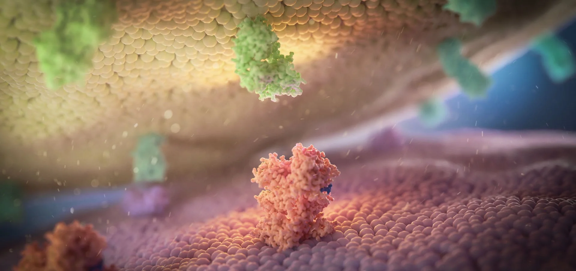 Mechanism of Action MoA medical animation depicting receptor binding pathways by NEXU.