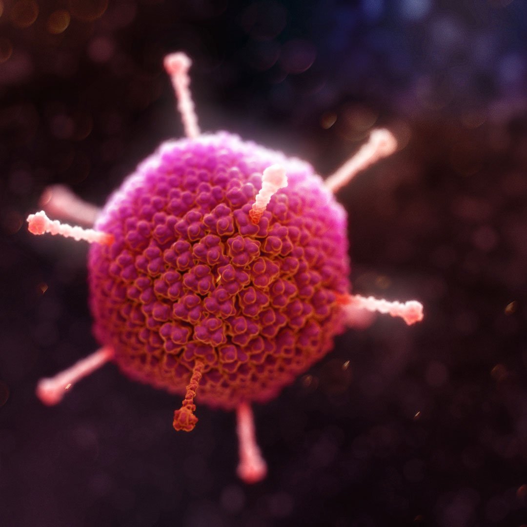 Close-up of a virus particle with a round, textured surface and protruding spike proteins, illuminated against a dark background.