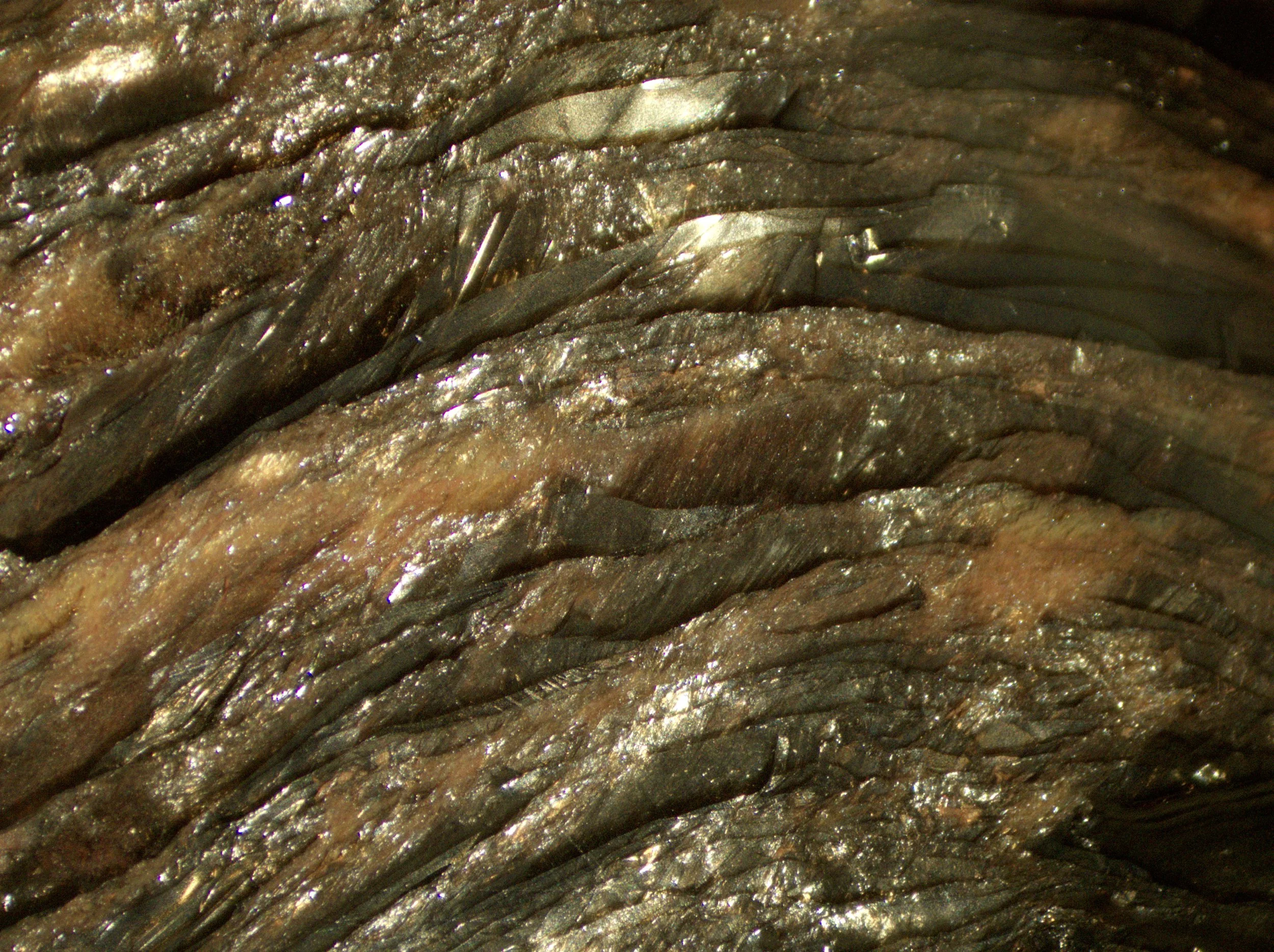 Gold Sheen 2.jpg